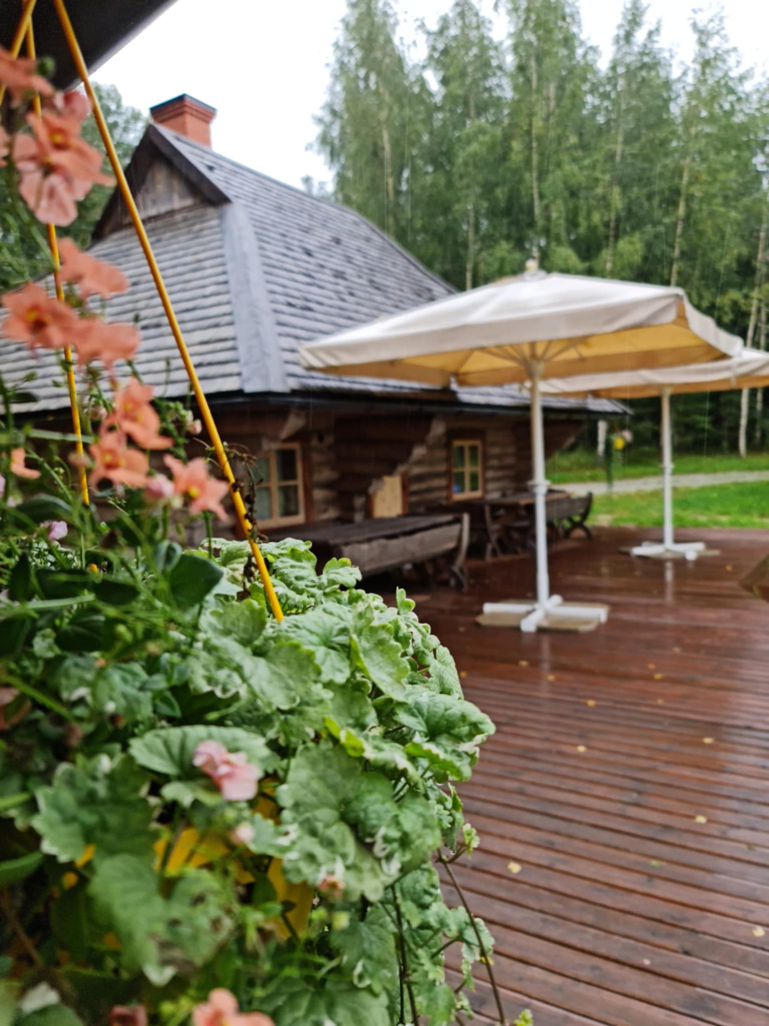 Laukataguse Puhkeküla saunamaja