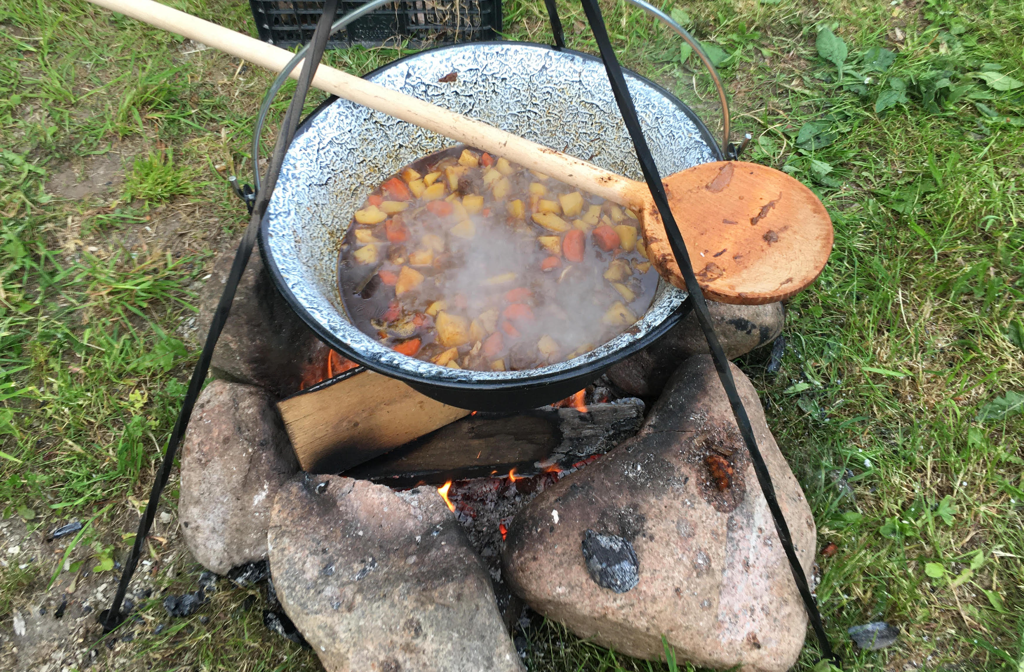 Harmoonikum lõkketoidud