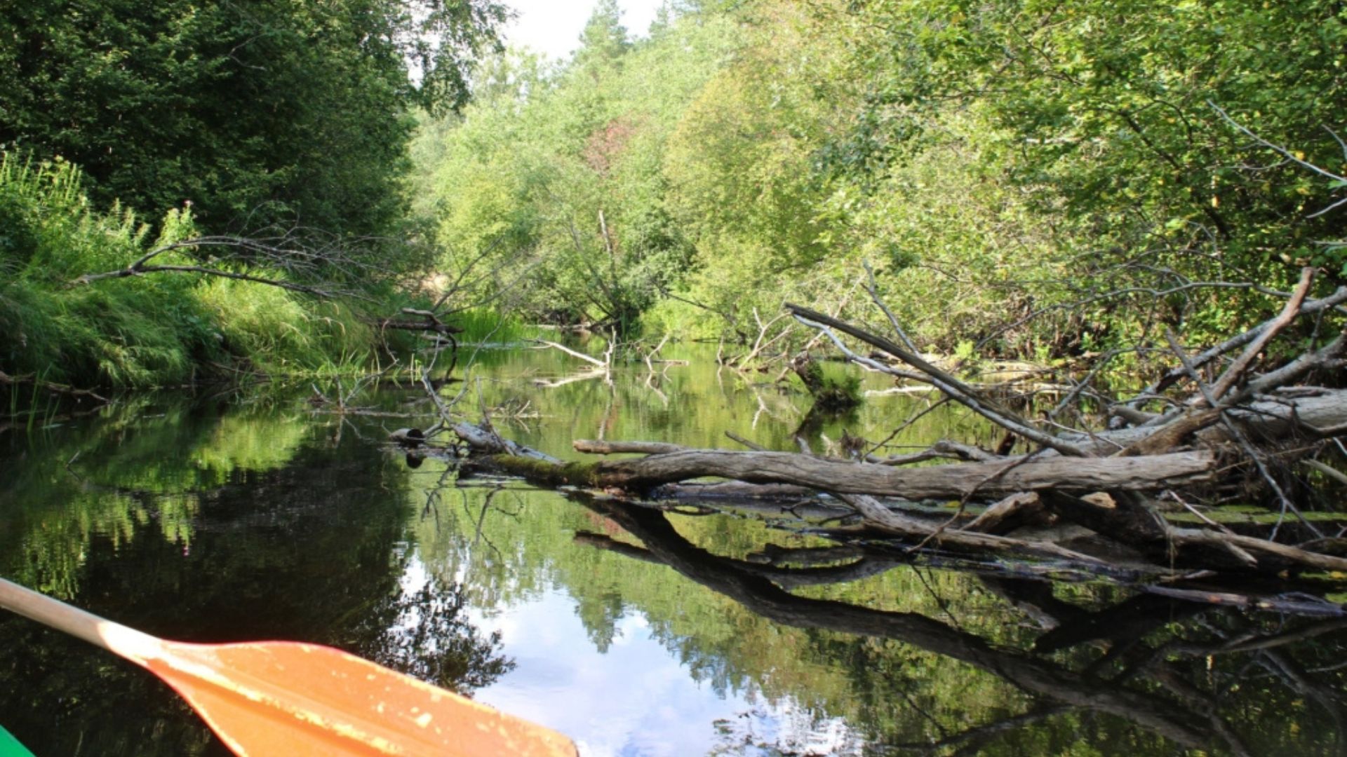 Kunda jõgi