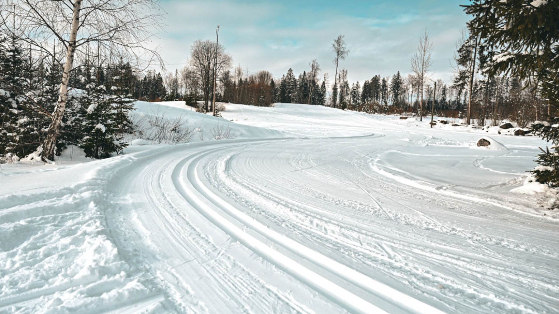 Tamsalu Sports Complex Ski Trails