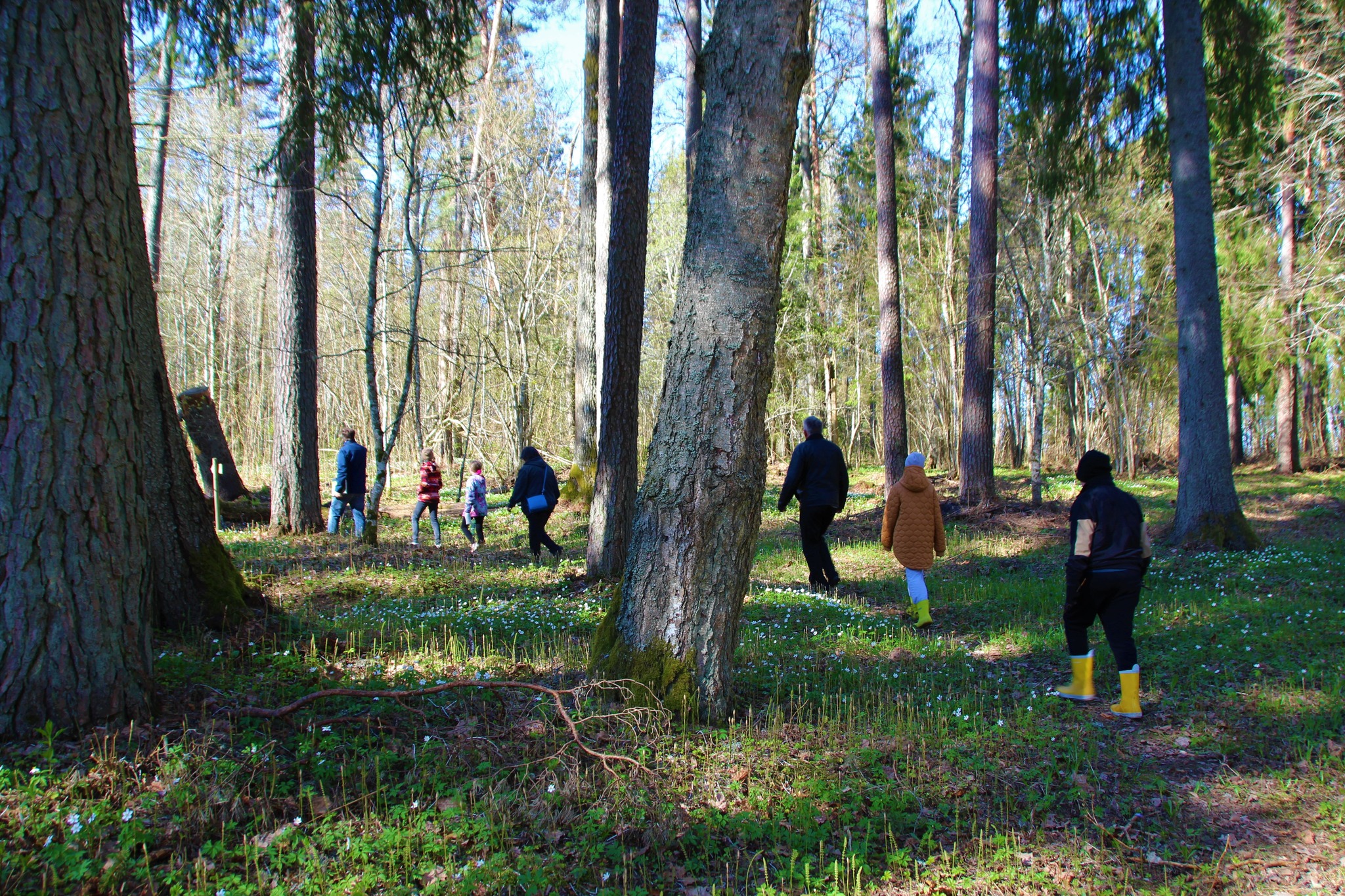 Matkajad Sangaste Metsapargis