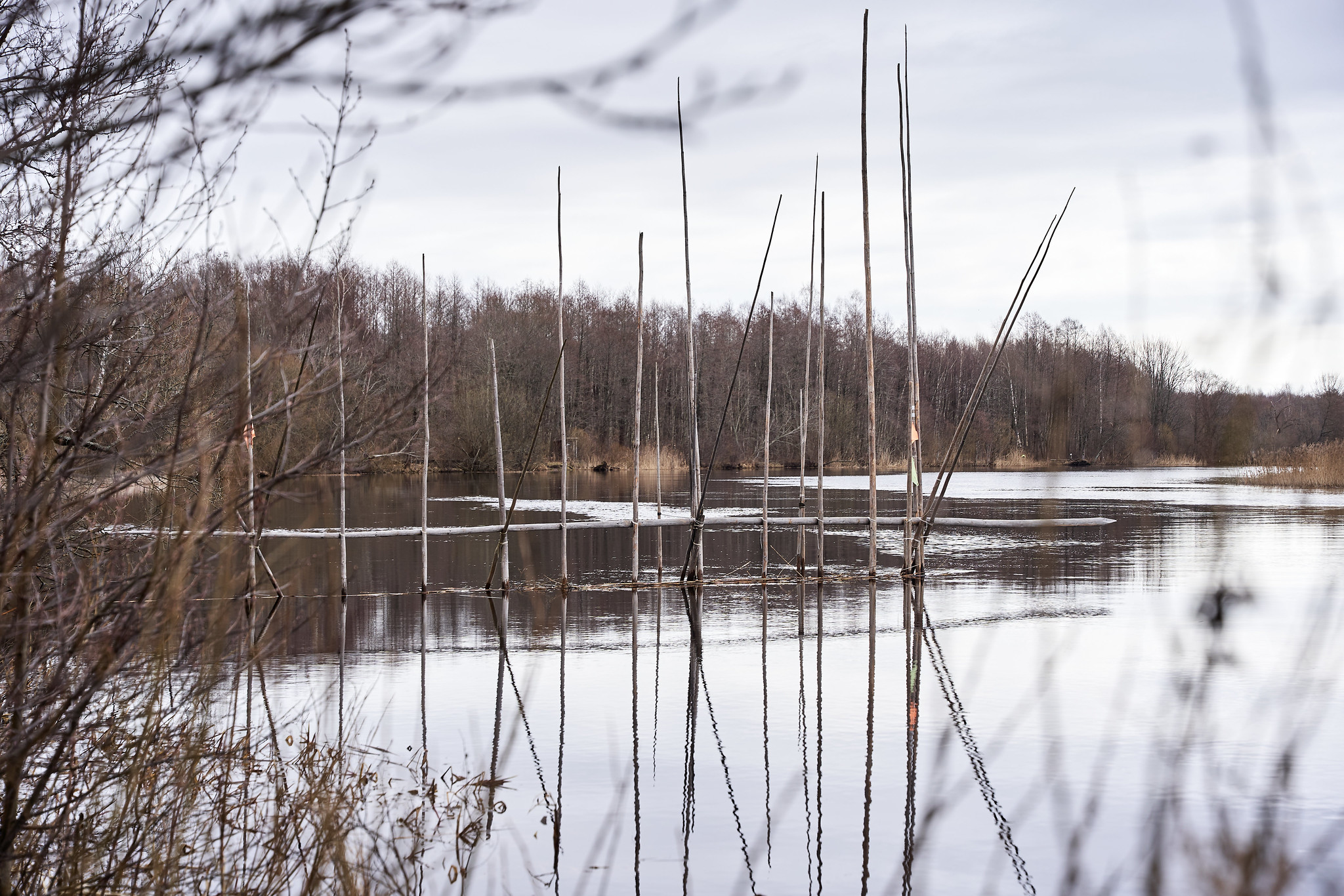 Emajõe õpperaja vaade Emajõele ja kalapüügivõimalustele