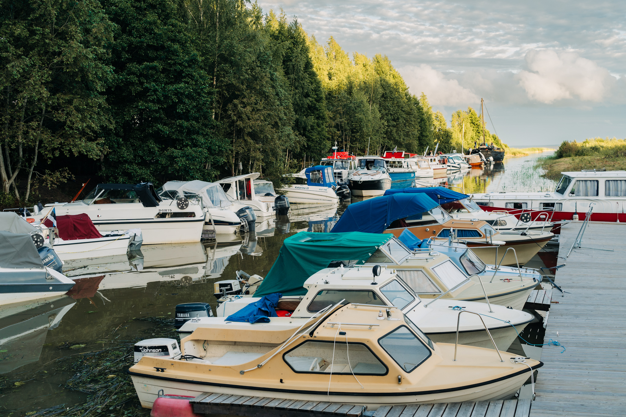 Sisevete festivali saatelaevastik