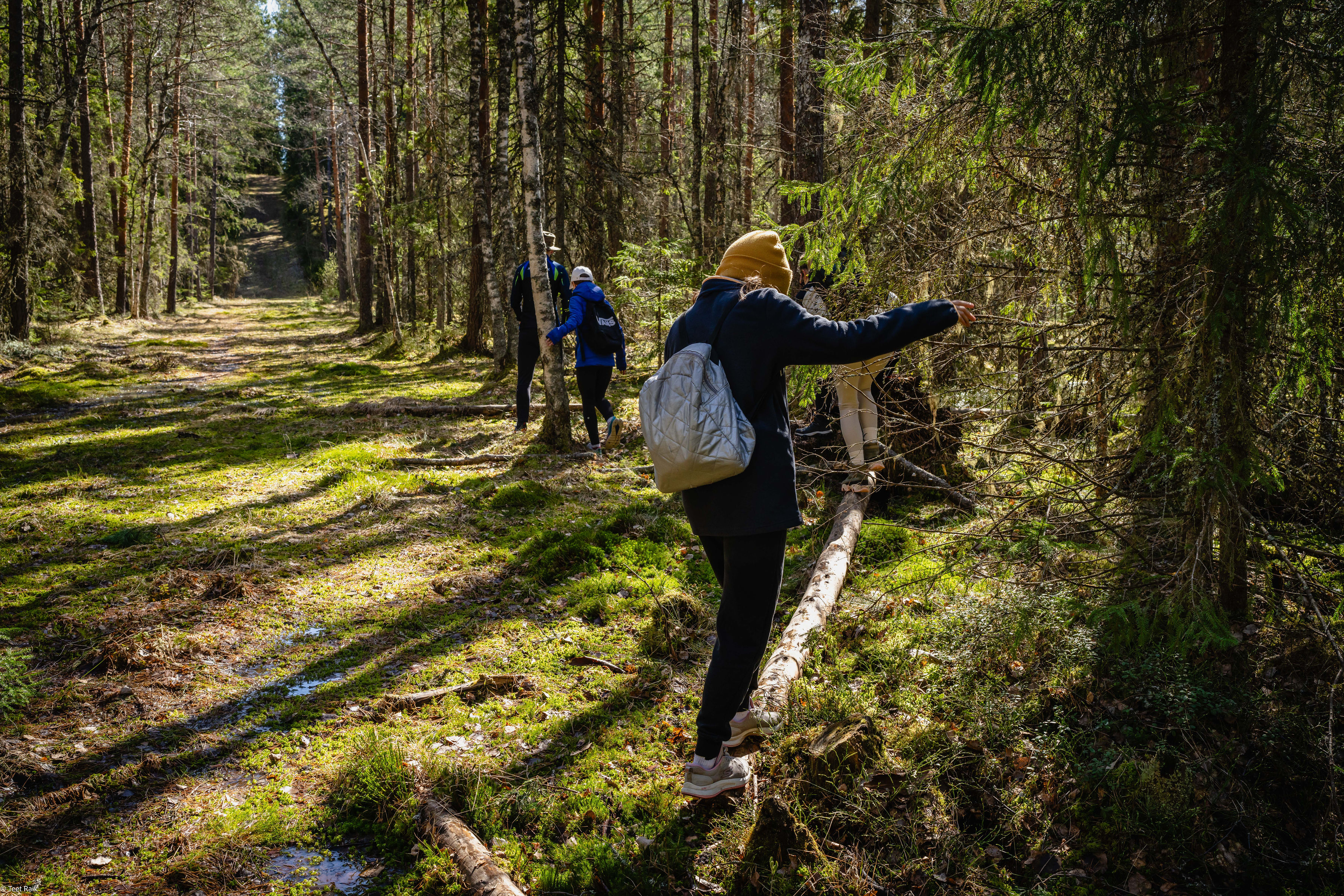 Dienas pārgājiens Kervemā ziemeļos – ar vilcienu dabā un pie vietējiem