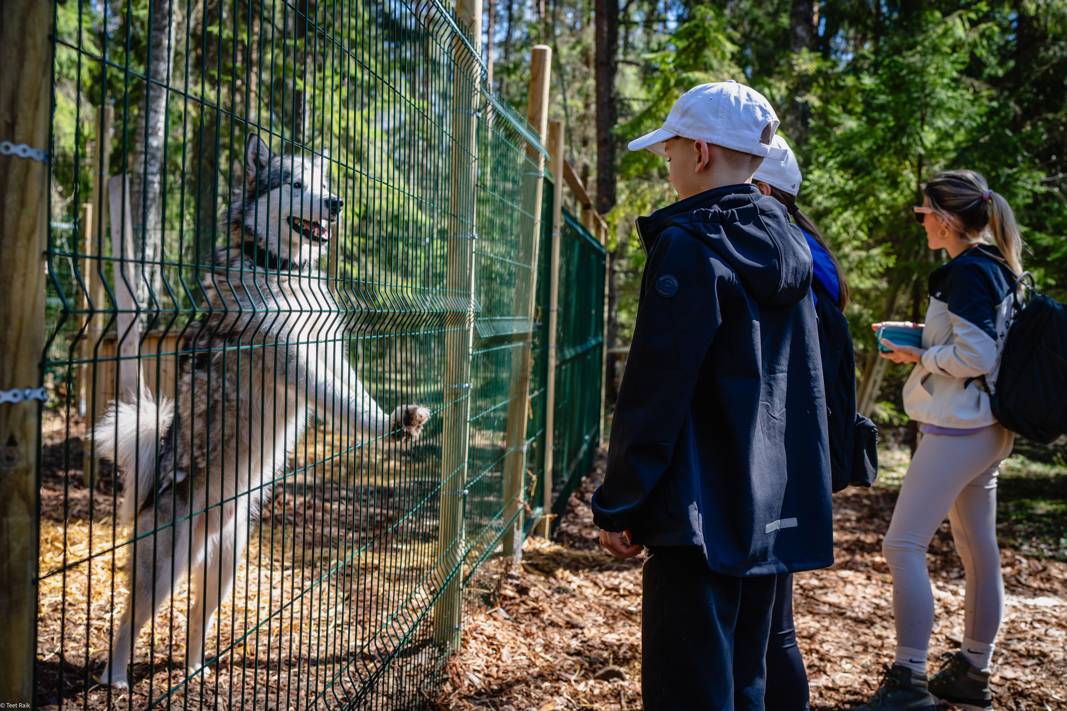 Dienas pārgājiens Kervemā ziemeļos – ar vilcienu dabā un pie vietējiem