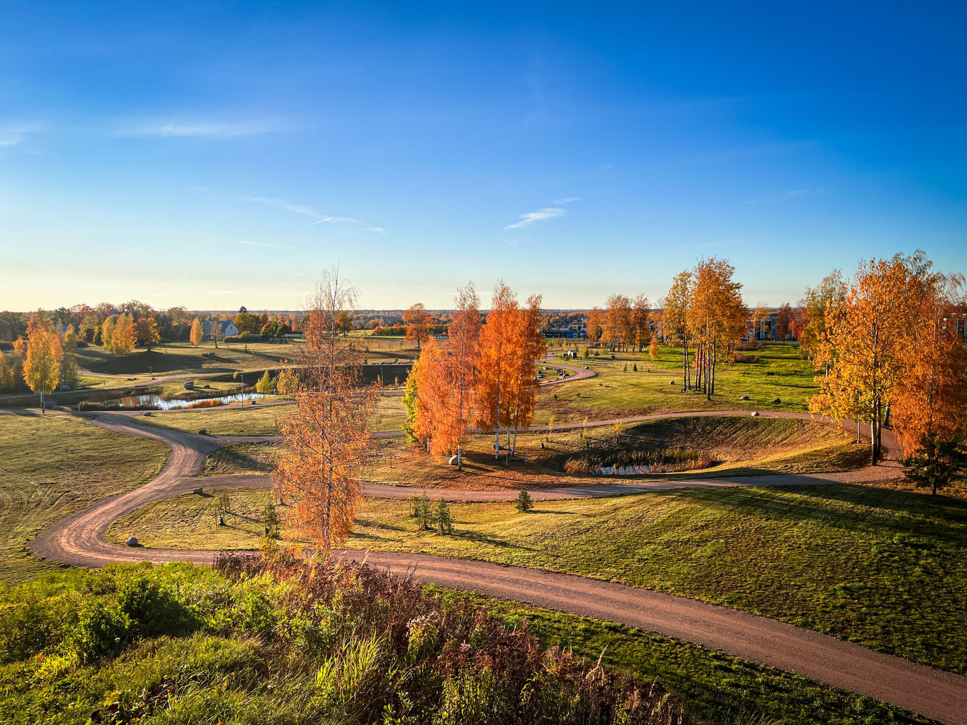 Gräevly Fest competition center in Majoraad Park