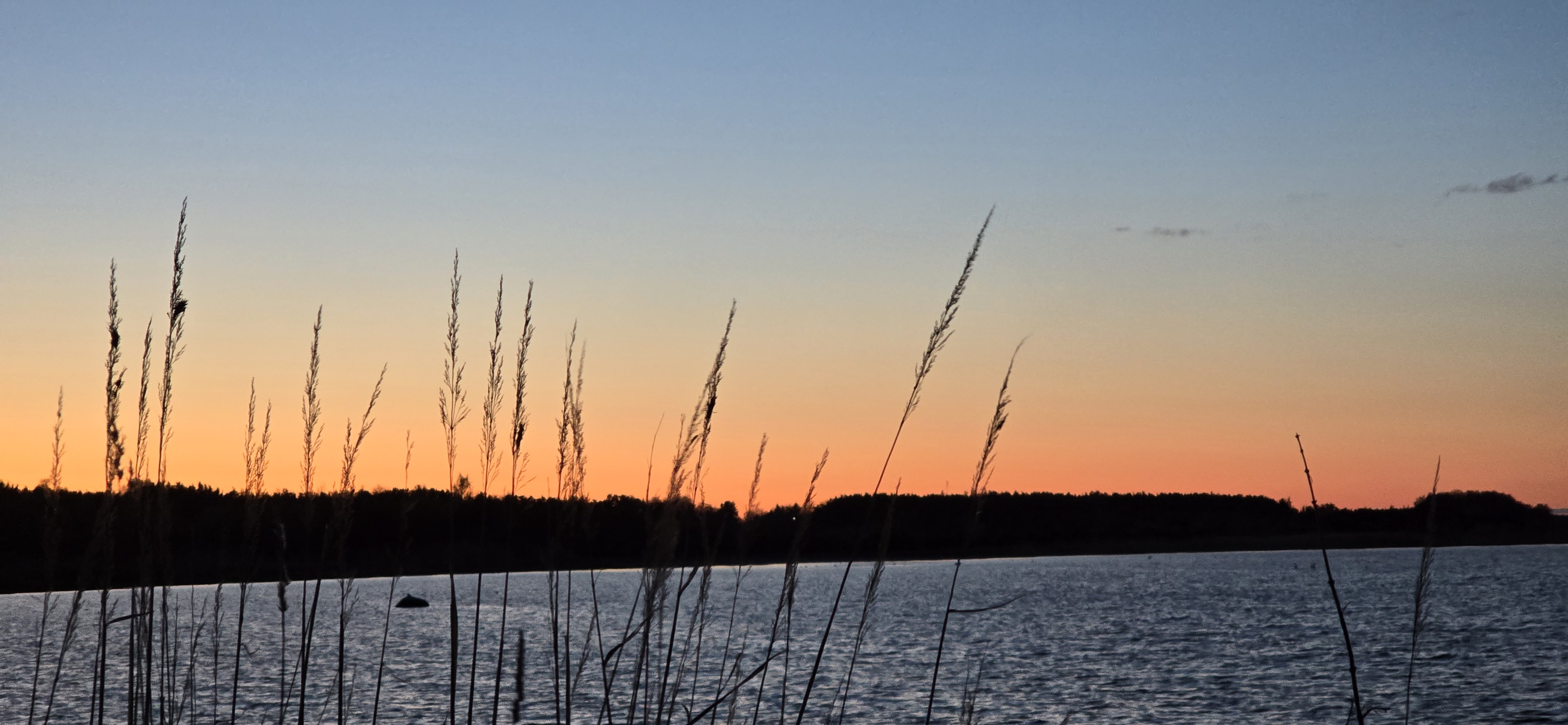 Rannaääre peremajutus