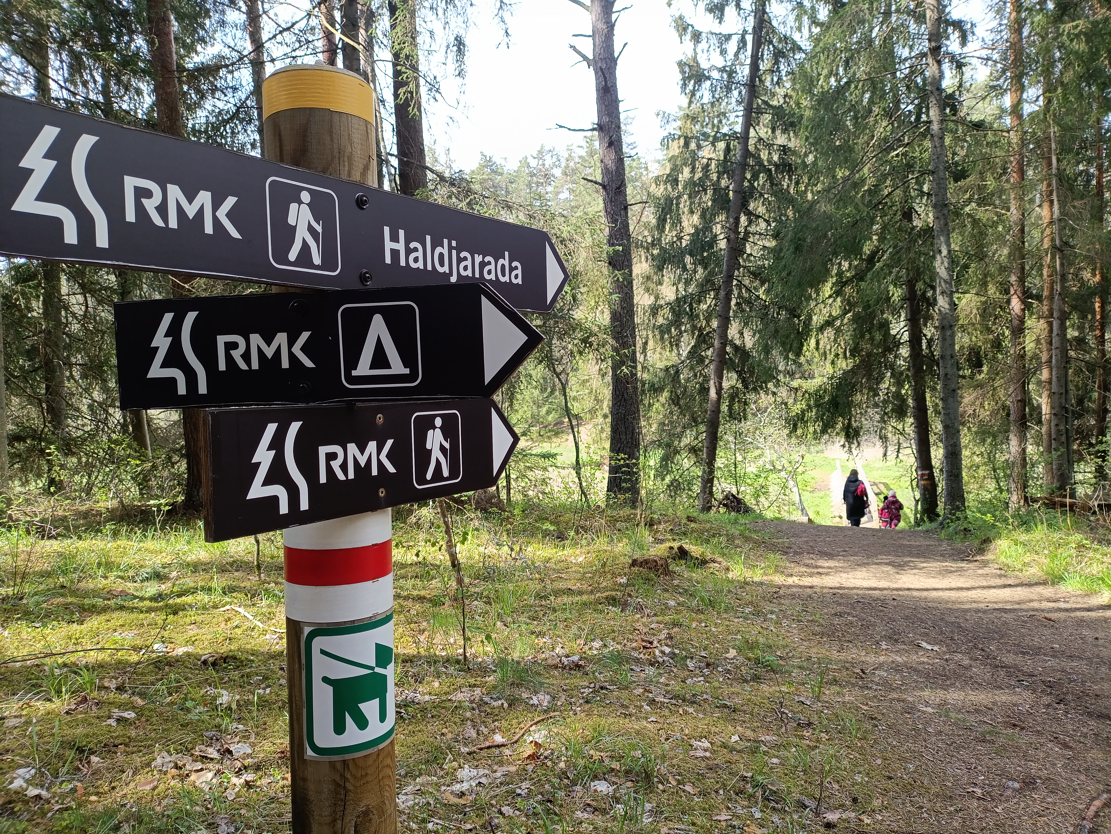 Keijupolku sijaitsee Elvan metsien keskellä