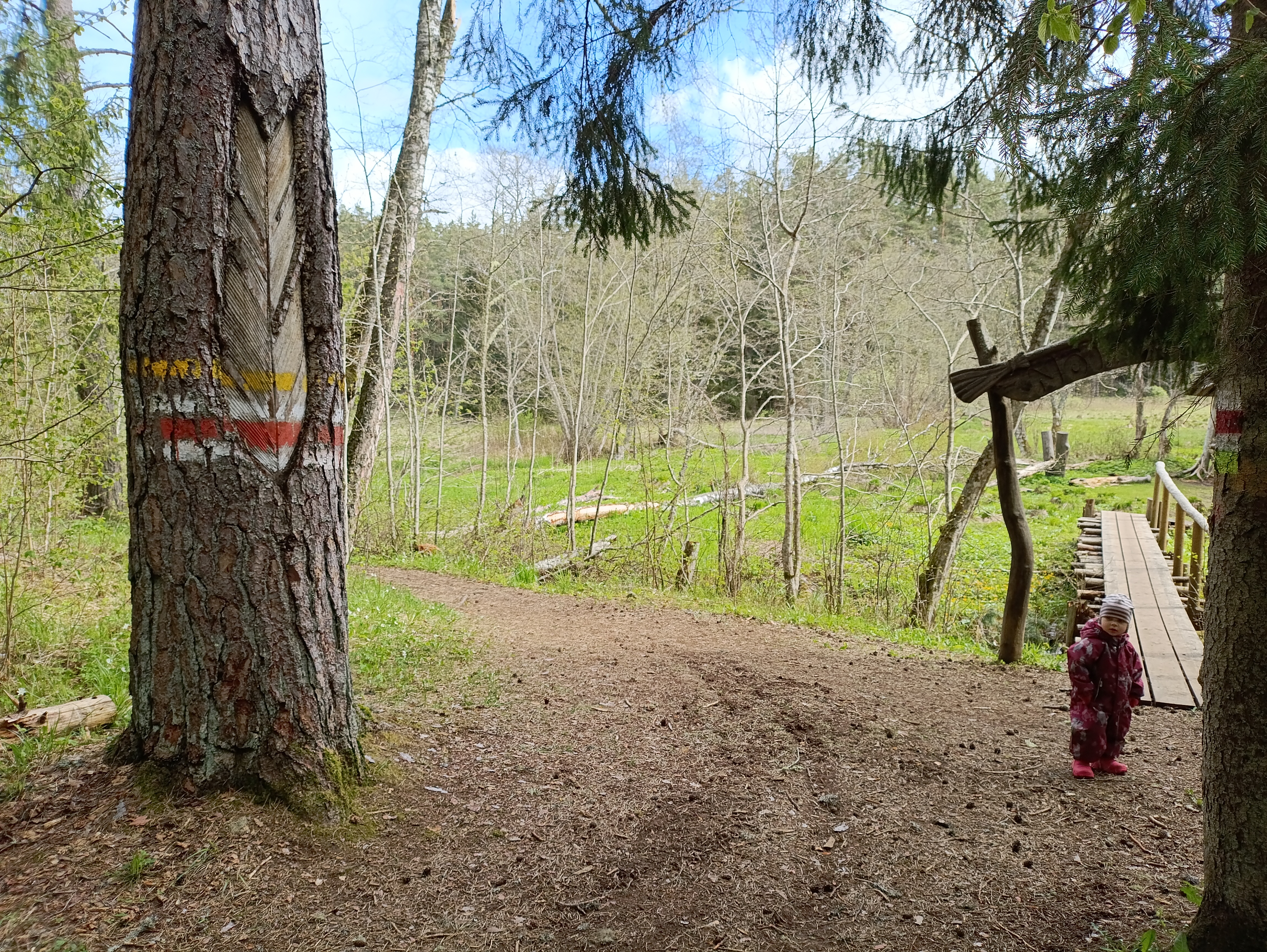 Viti-seikkailuradalla on silta, joka vie Noitamajalle