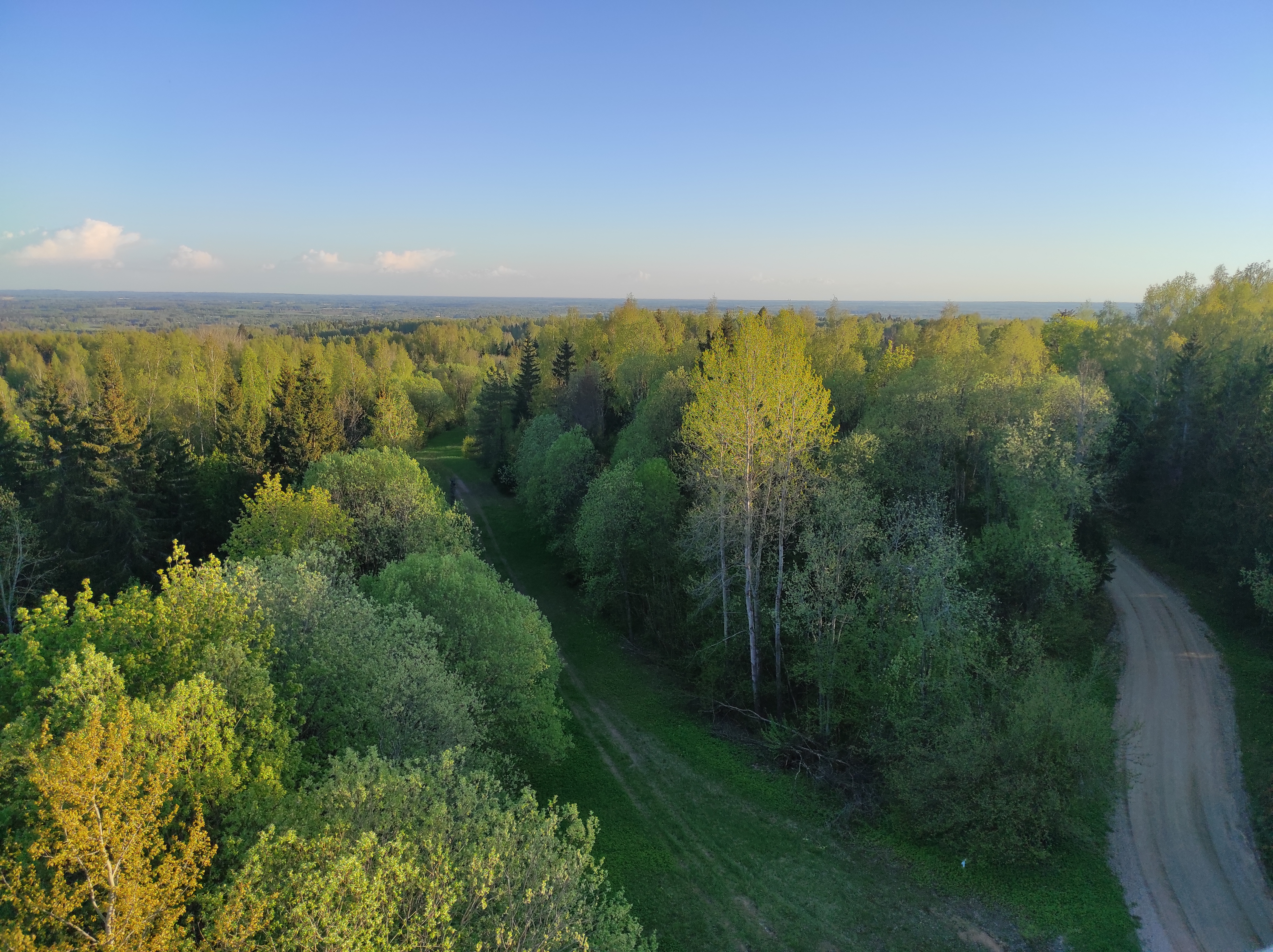 View from the Harimäe observation tower towards Sangaste