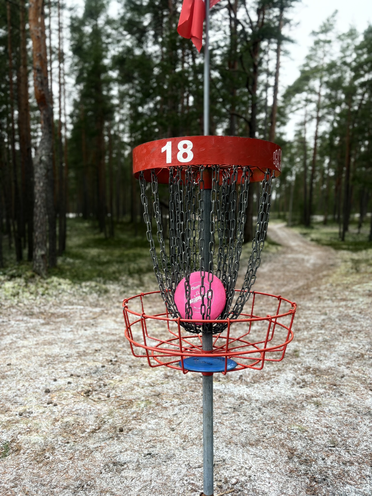Jõulumäe Tervisespordikeskuse discgolfi park