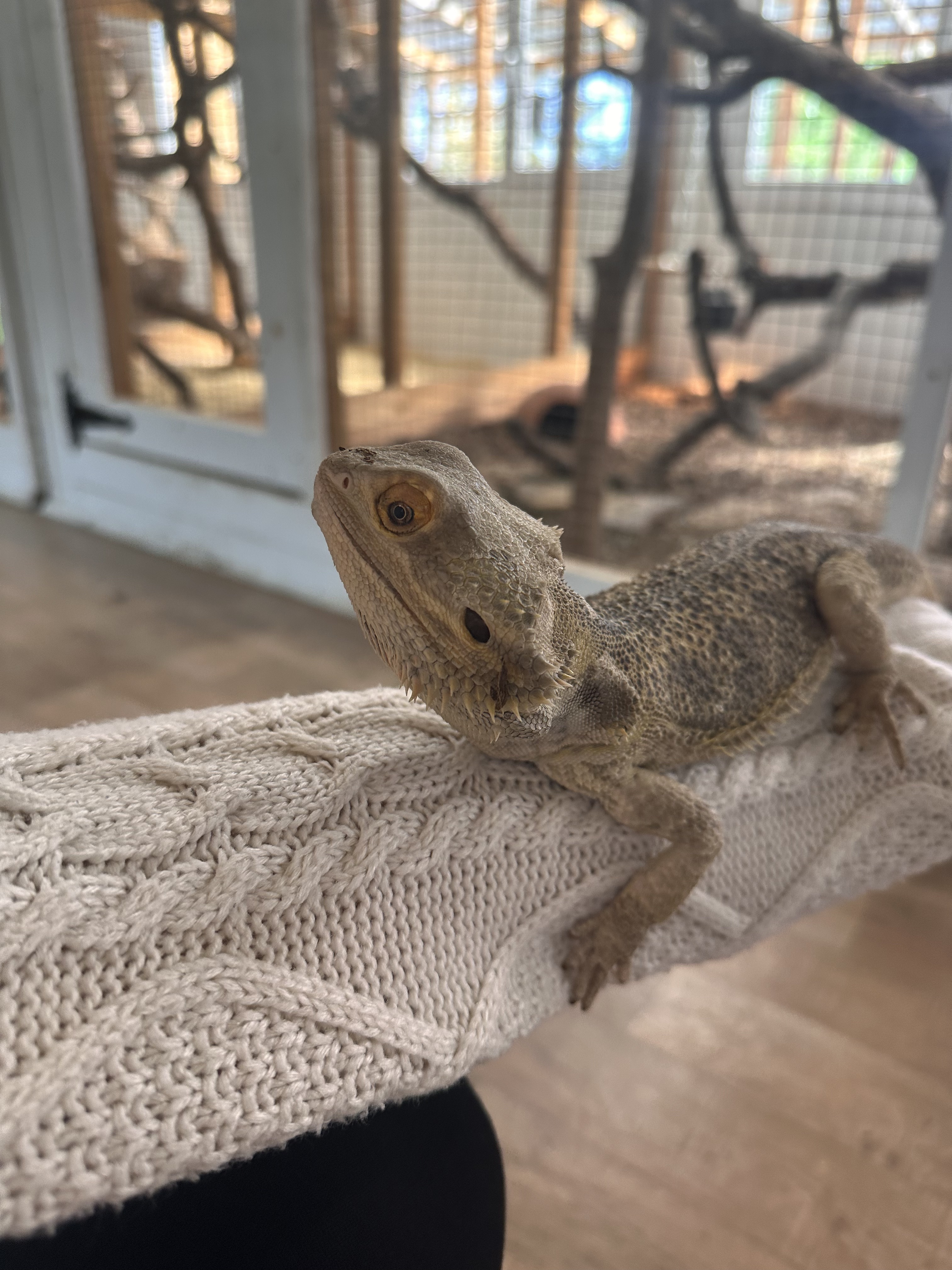 Dodieties brīnišķīgi pavadīt laiku mūsu saimniecības "Kaasiku" zoodārzā un sastopieties ar dažādiem dzīvniekiem! Mūsu saimniecībā dzīvo vairāk nekā 10