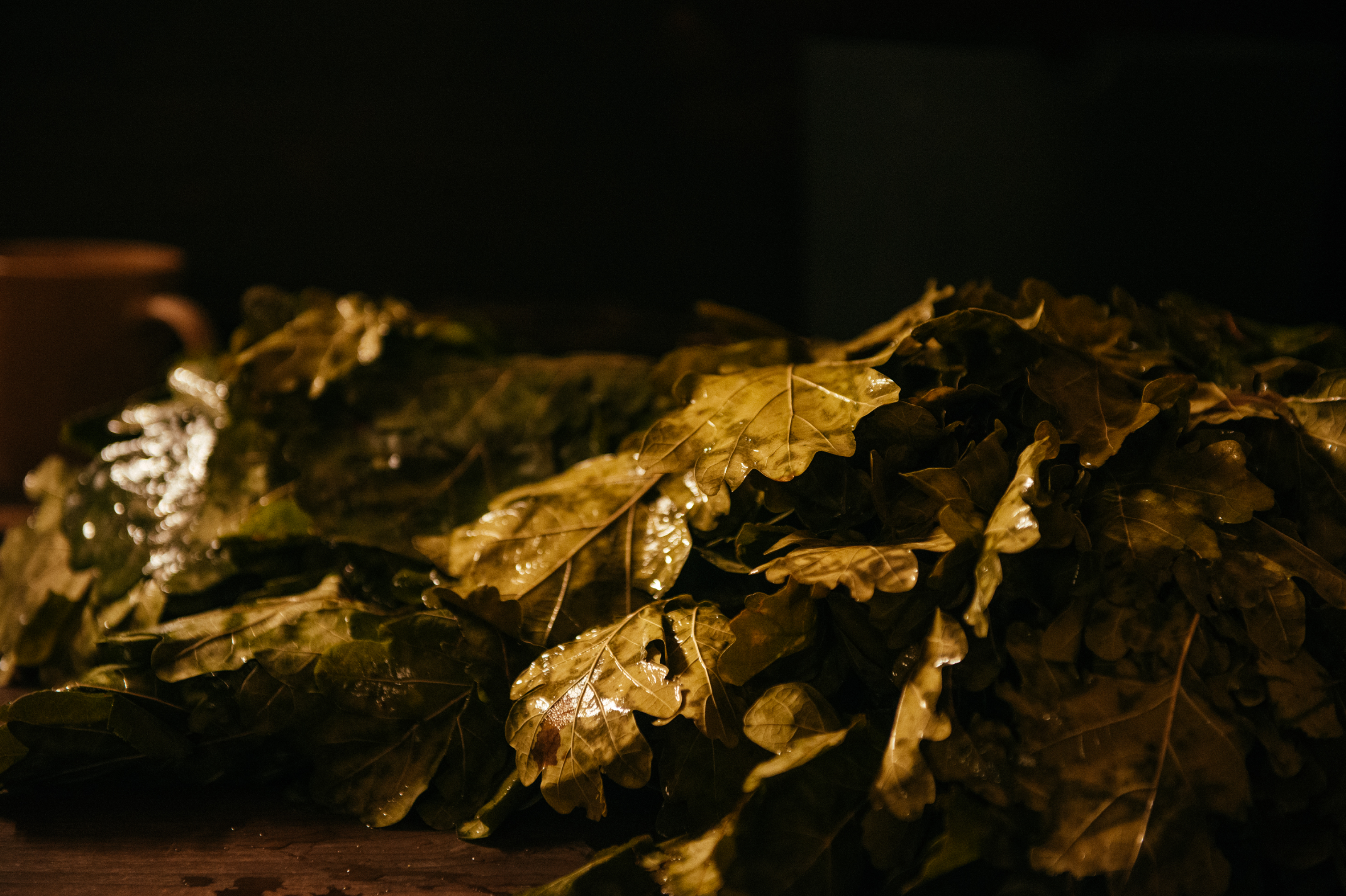 Oak leaves
