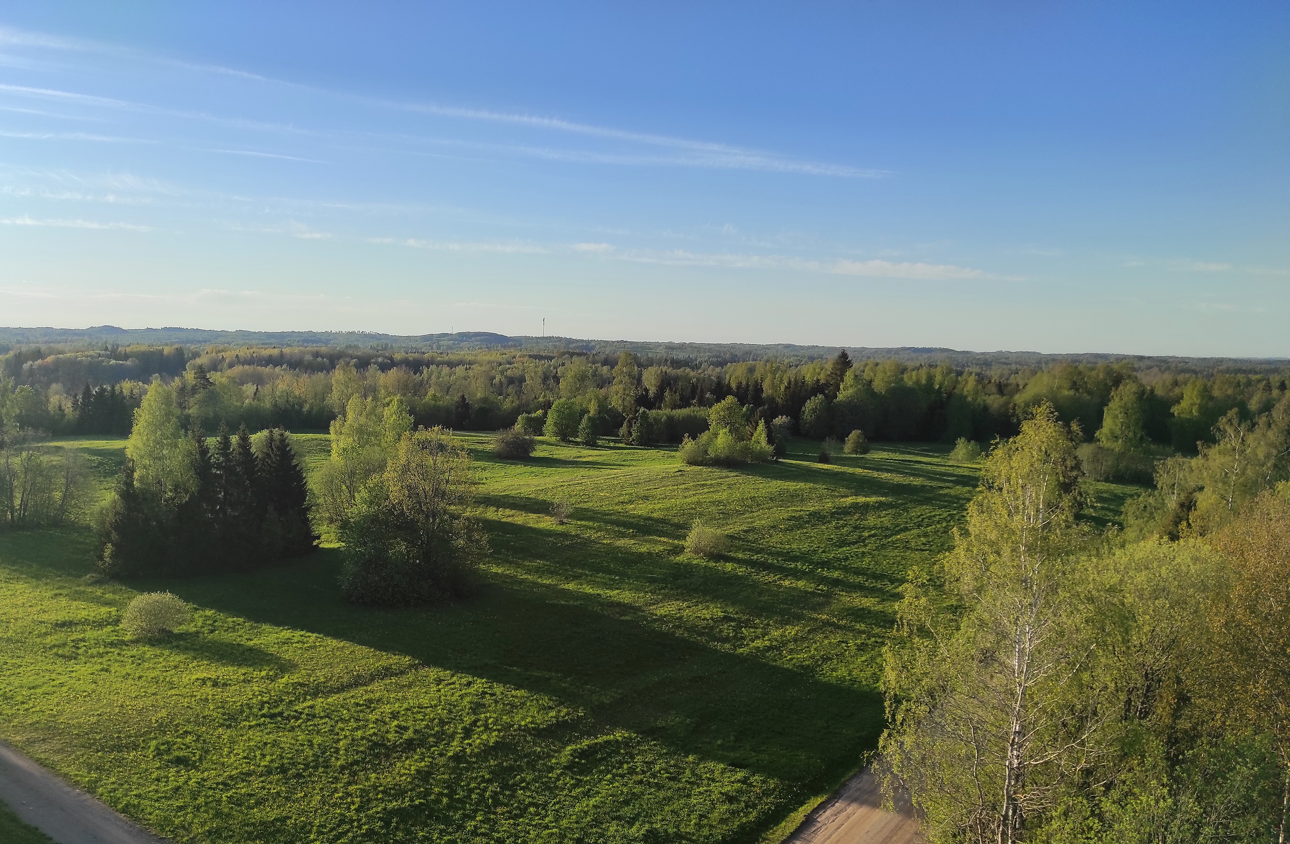 View from the Harimäe observation tower towards Kuutsemäe