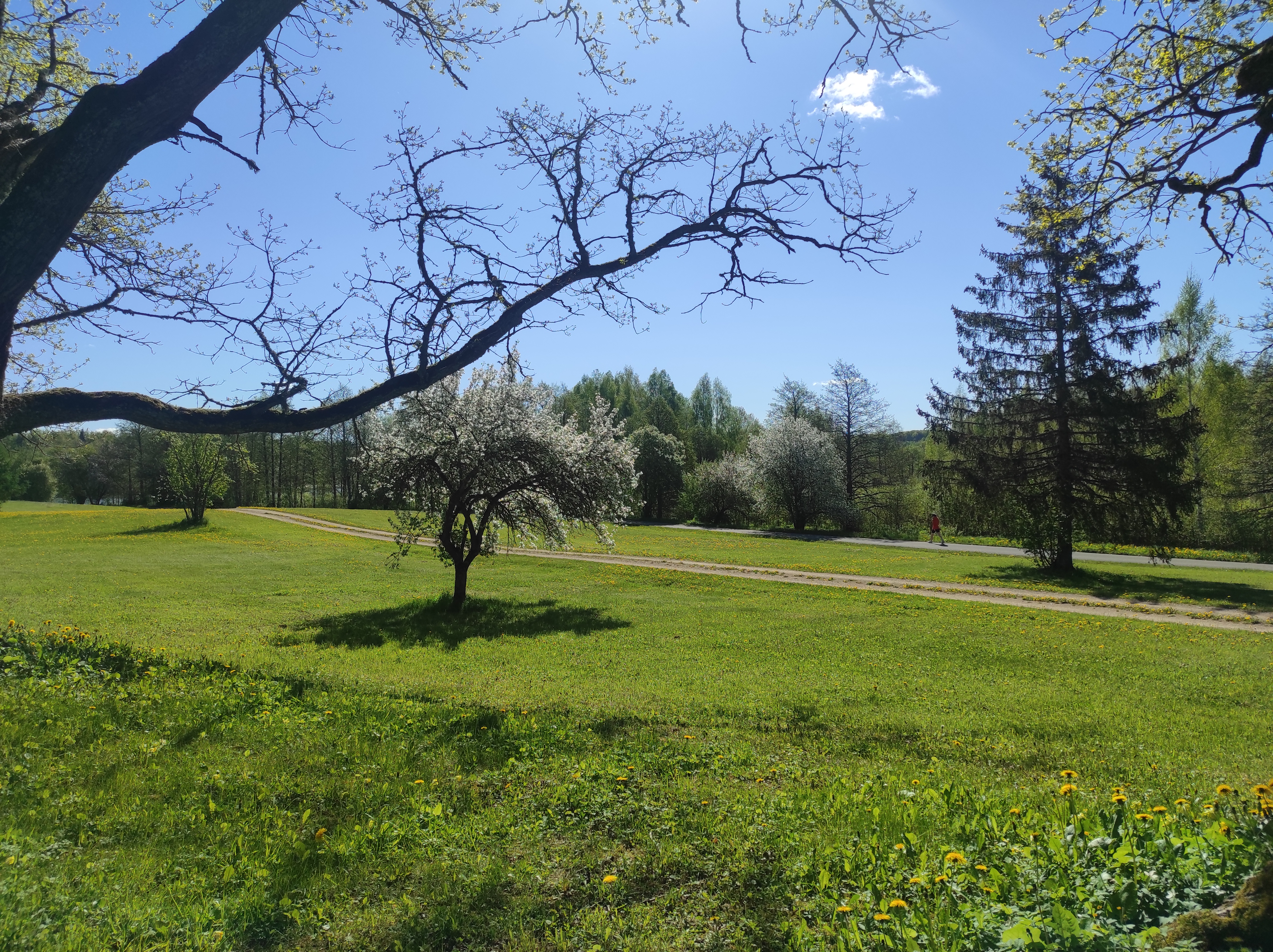 Murrumets Hiking Track starts from the Pühajärv Manor Park, runs through Murrumets Forest and back to the park. It takes about 1-1.5 hours to pass the