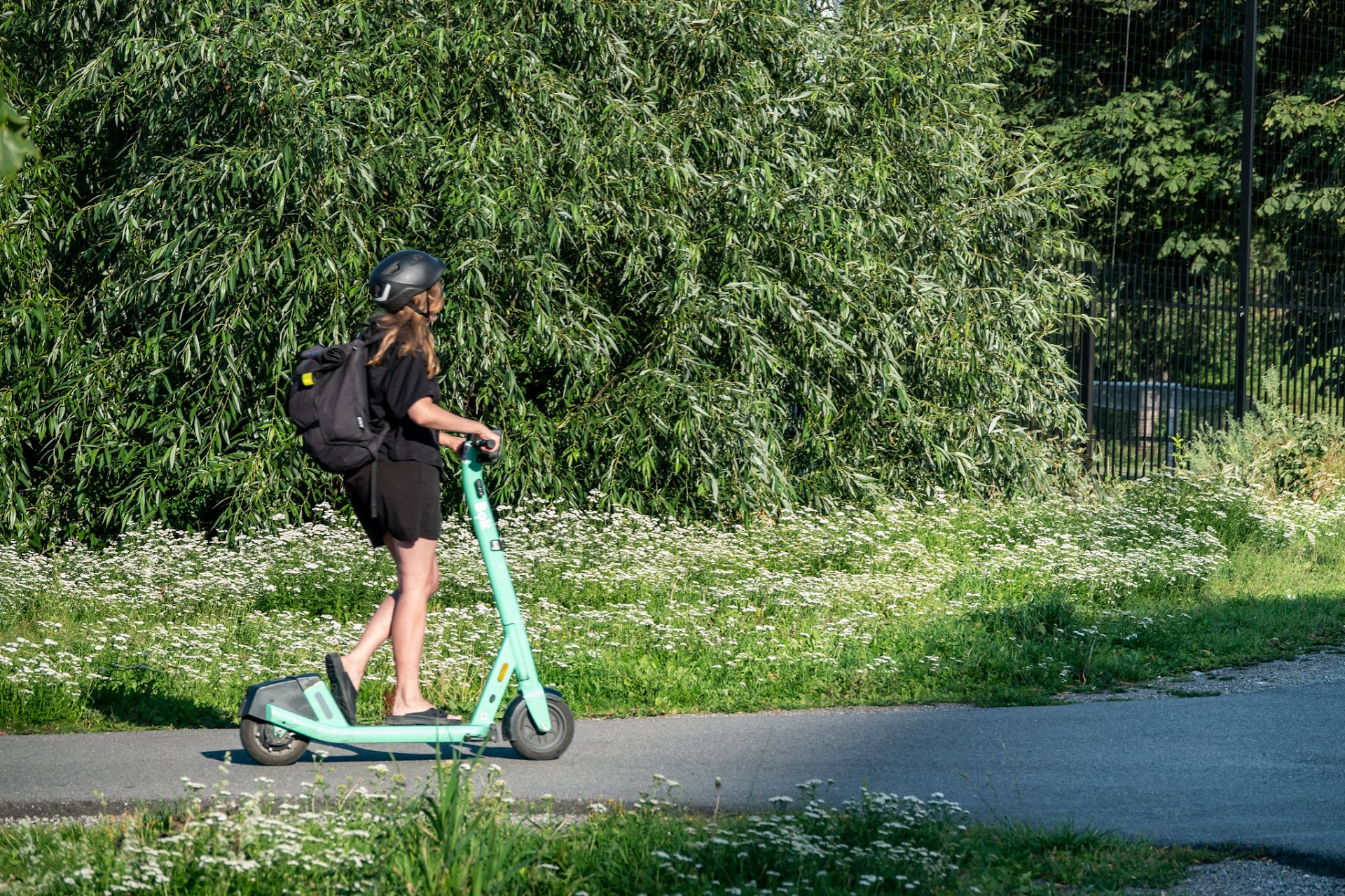 Tallinna linnaloodus, rohealad elurikkuse nautimiseks