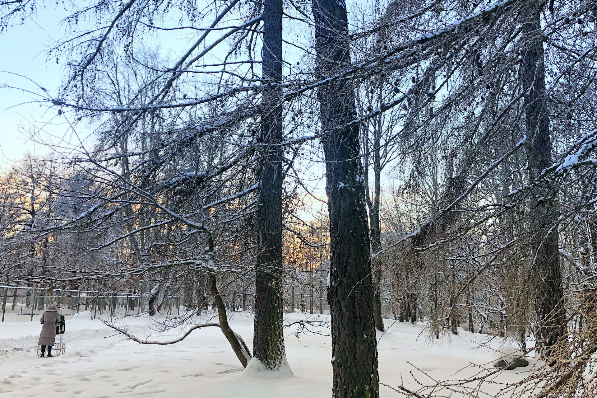 Talvine putukaväli