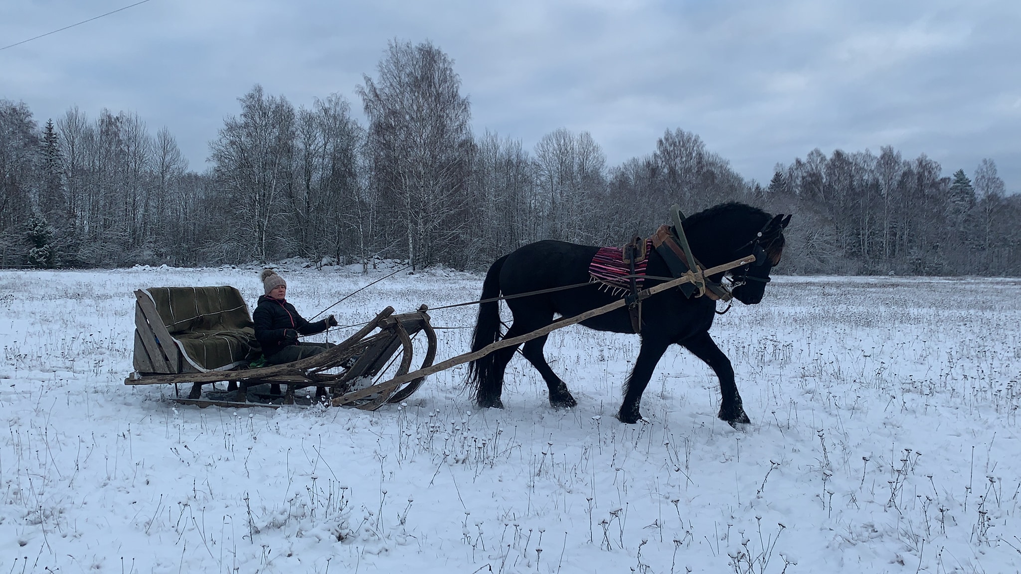 Kalaoja talu saanisõit hobusega