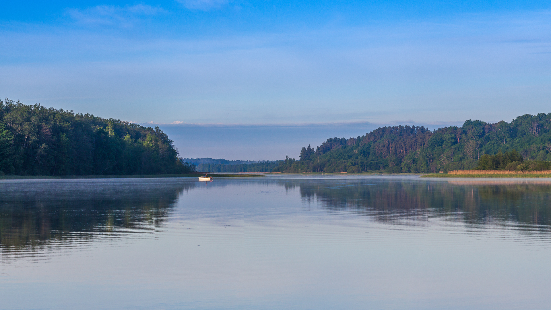 Järvel