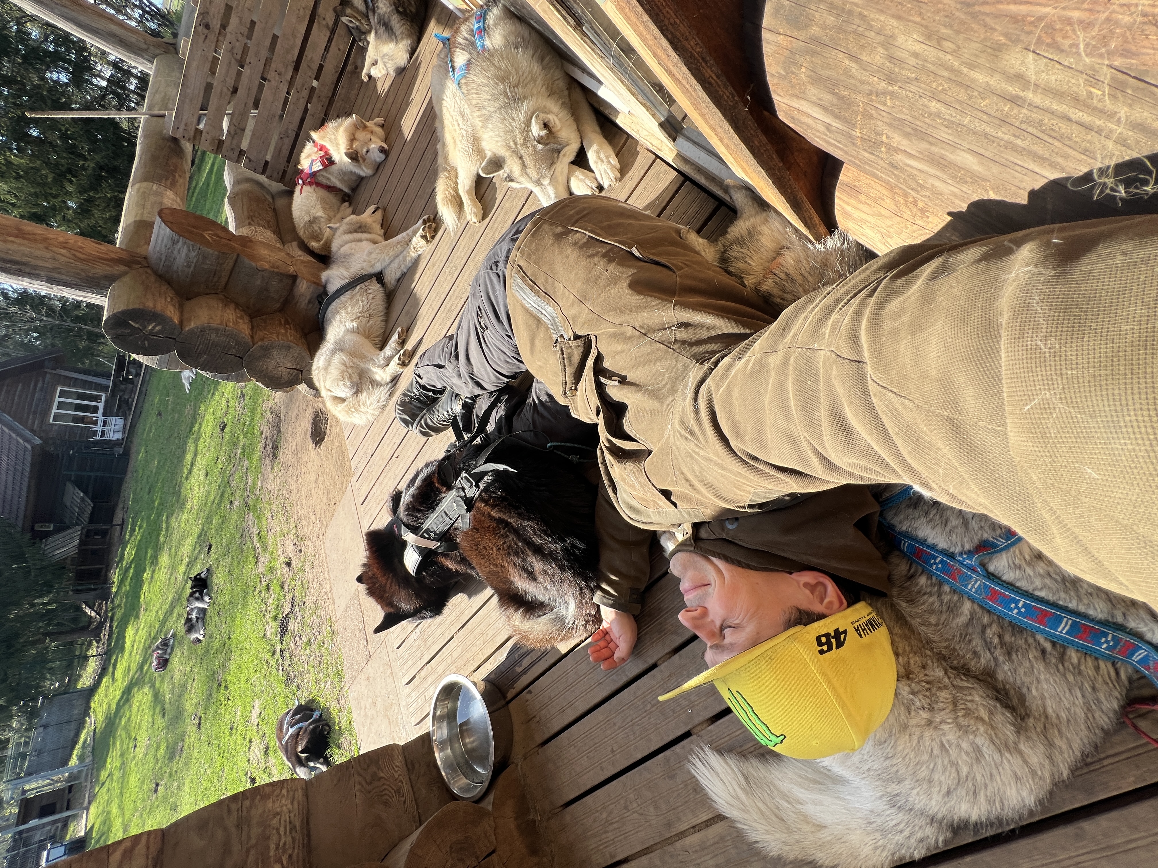 Totti's Sleddog Tours kelgukoerte lõunauinak