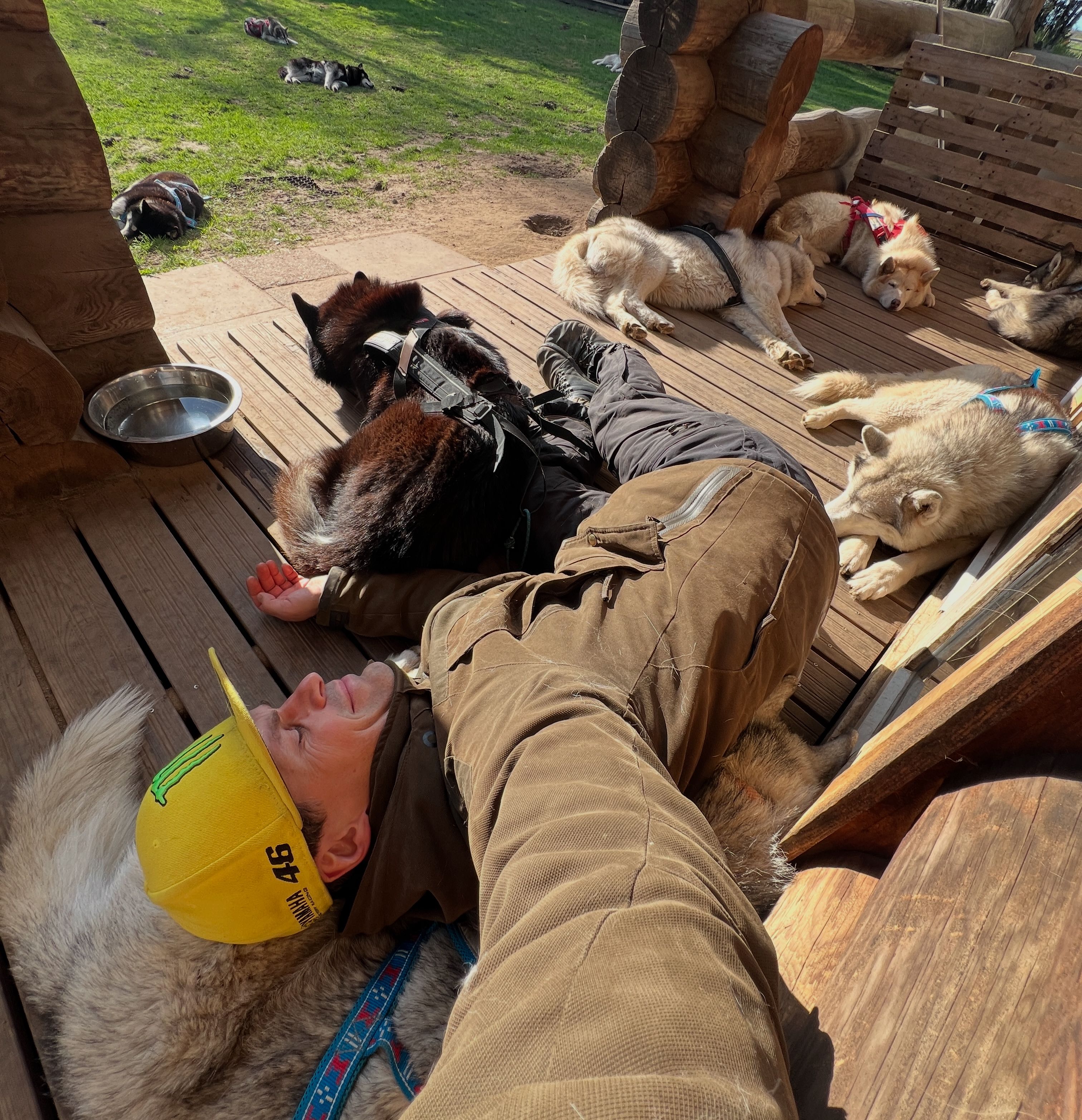 Nap with Totti's sled dogs