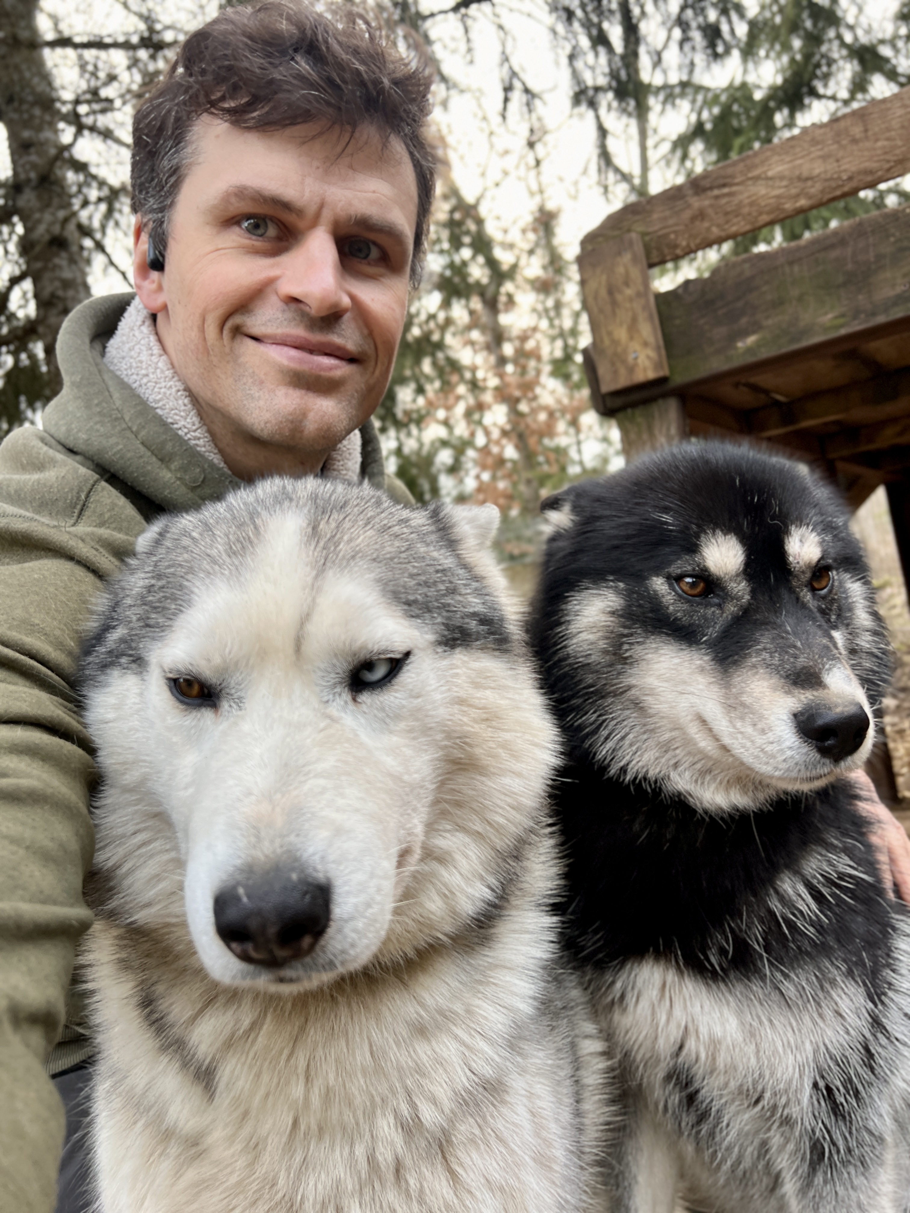 Sled dogs Zouwu and Scotty