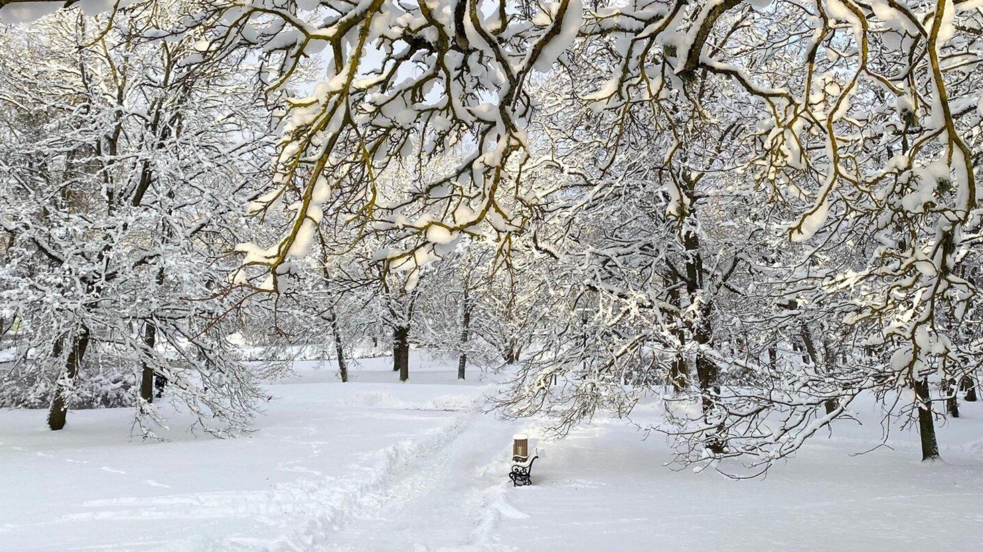 Rakvere mõisapark