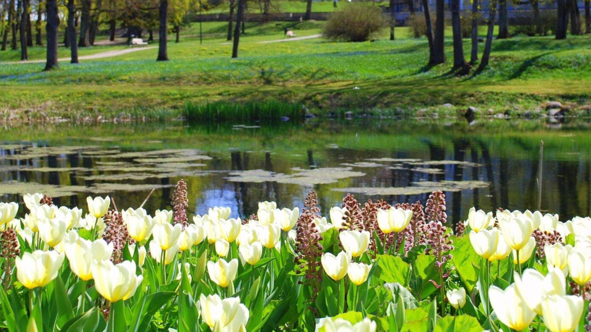 Rakvere mõisapark