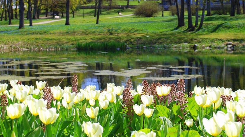 Rakvere mõisapark