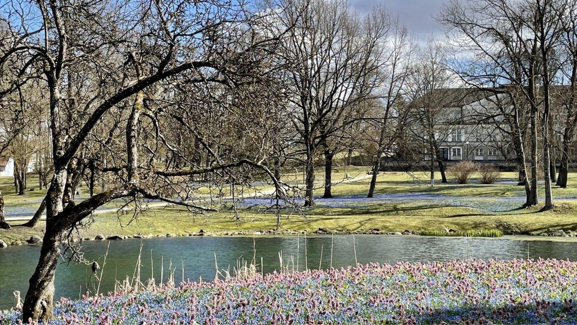 Rakvere mõis ja mõisapark