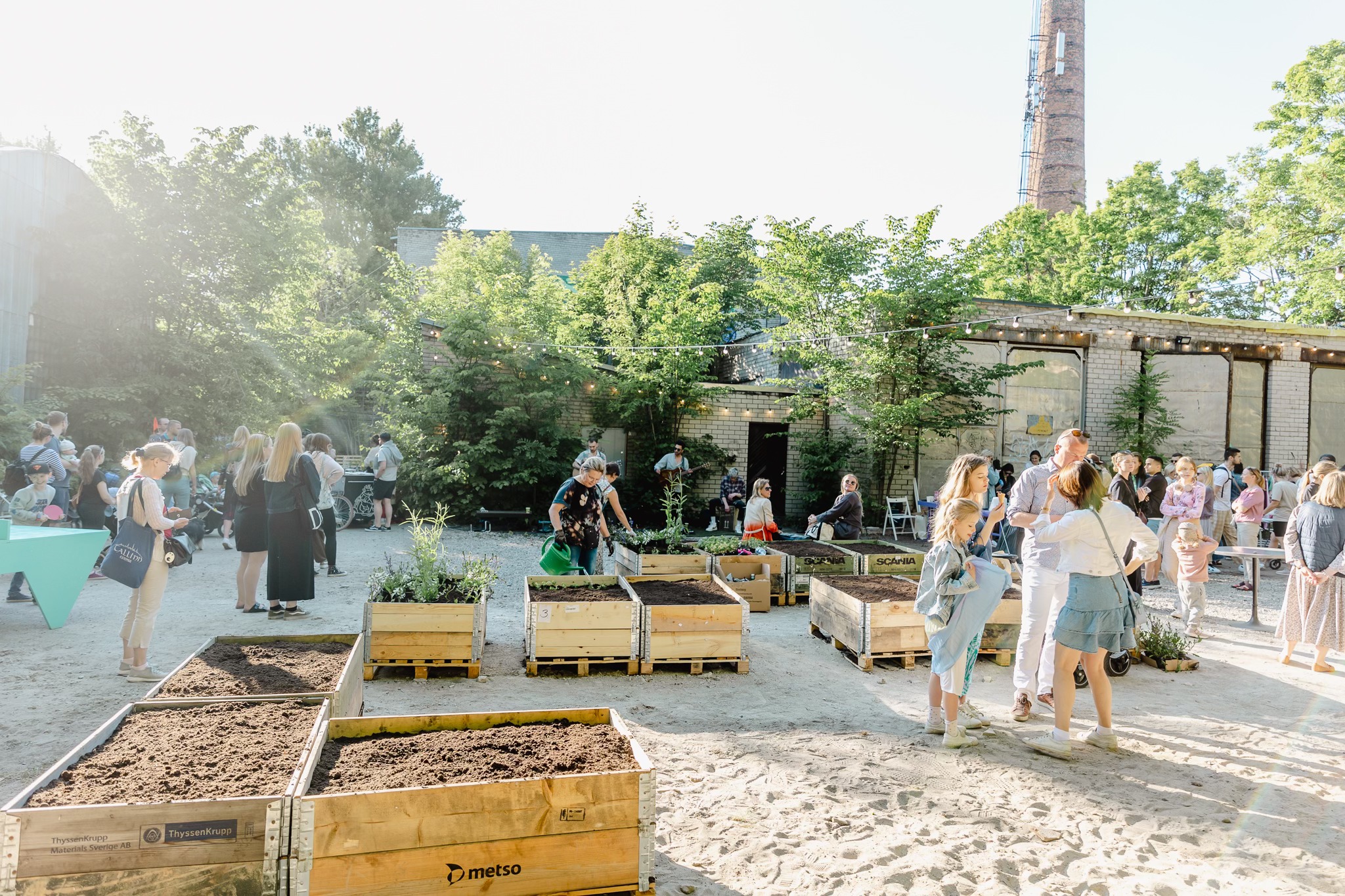 Krulli kvartal Põhja-Tallinnas kogukonna aed