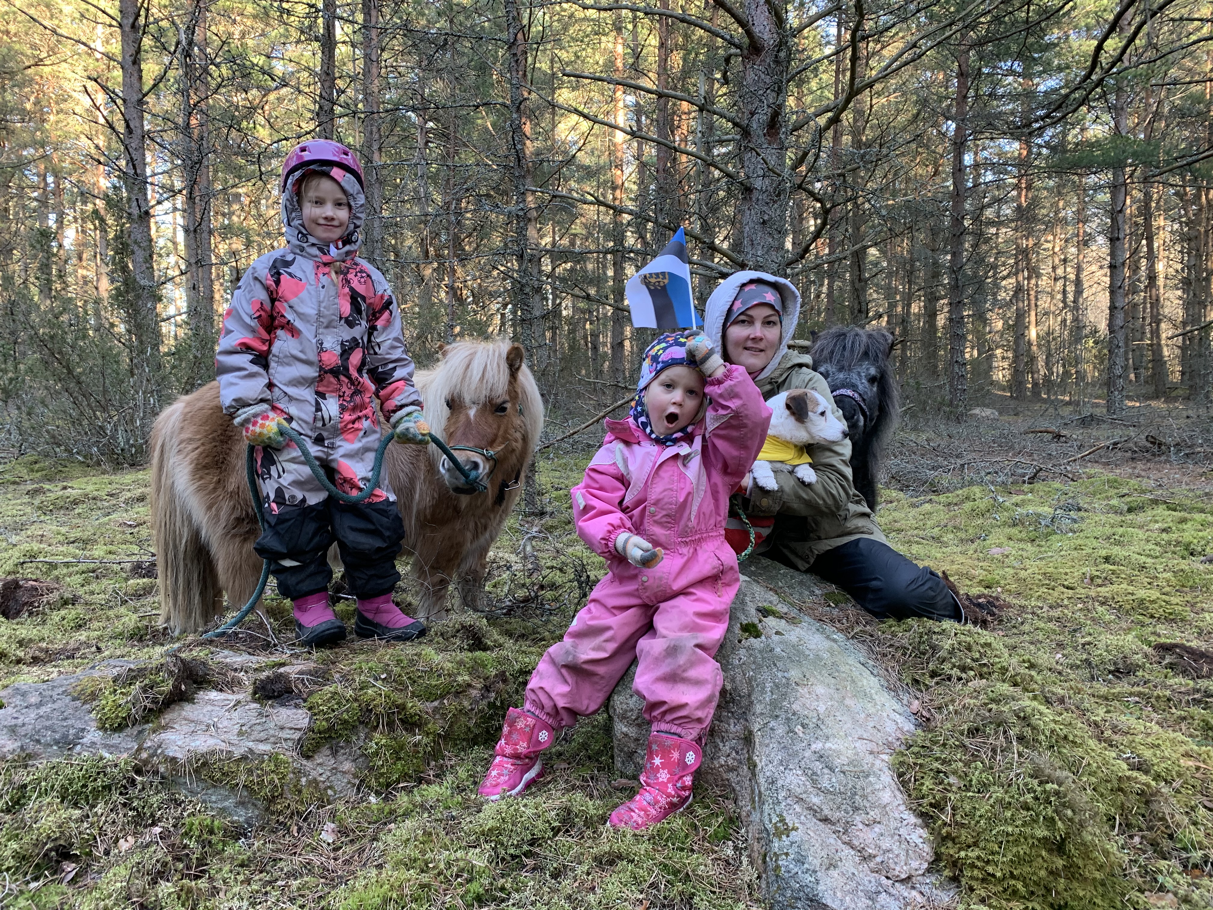 Eesti sünnipäeva matk.