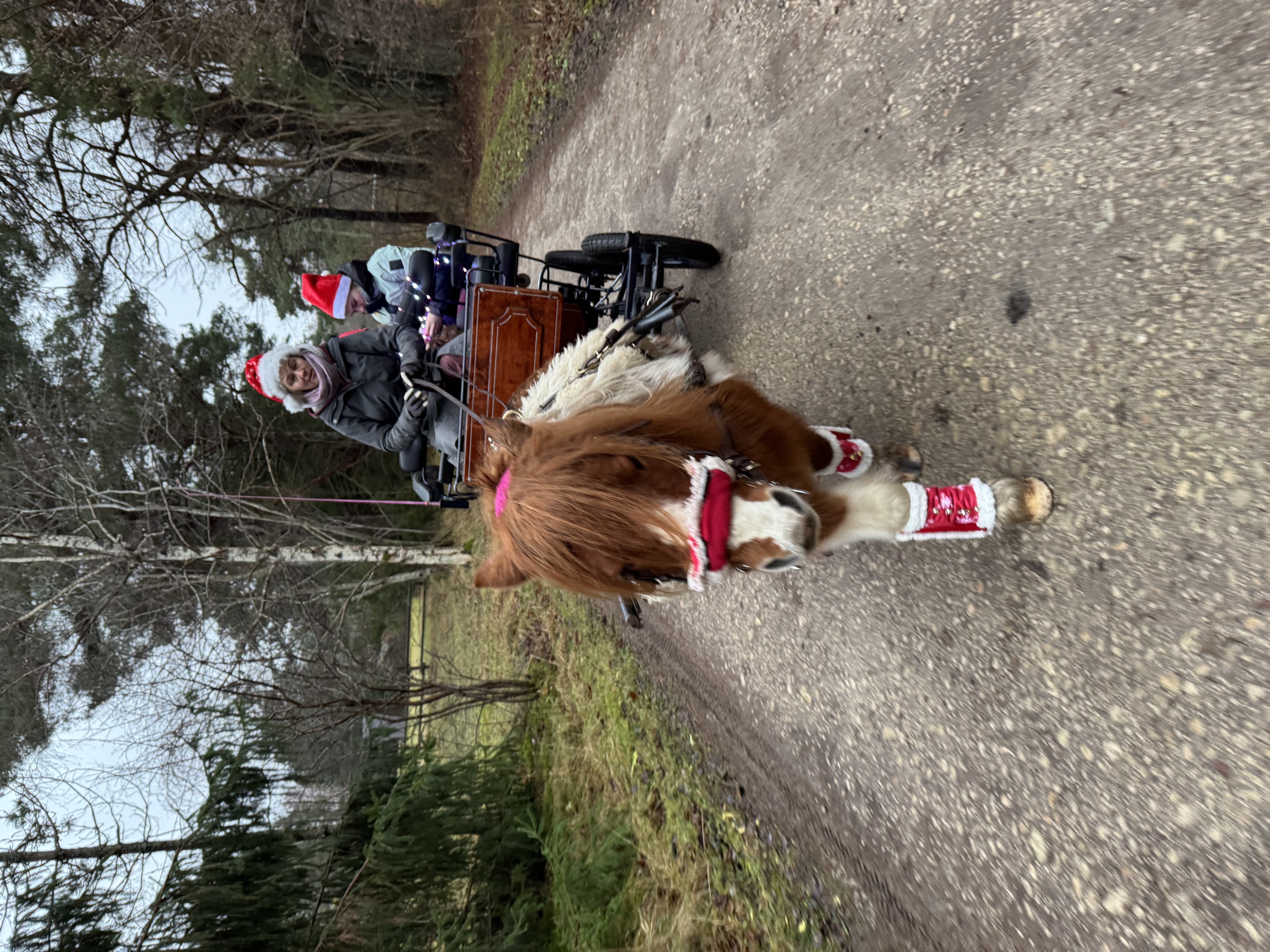 Vankrisõit Emiliga