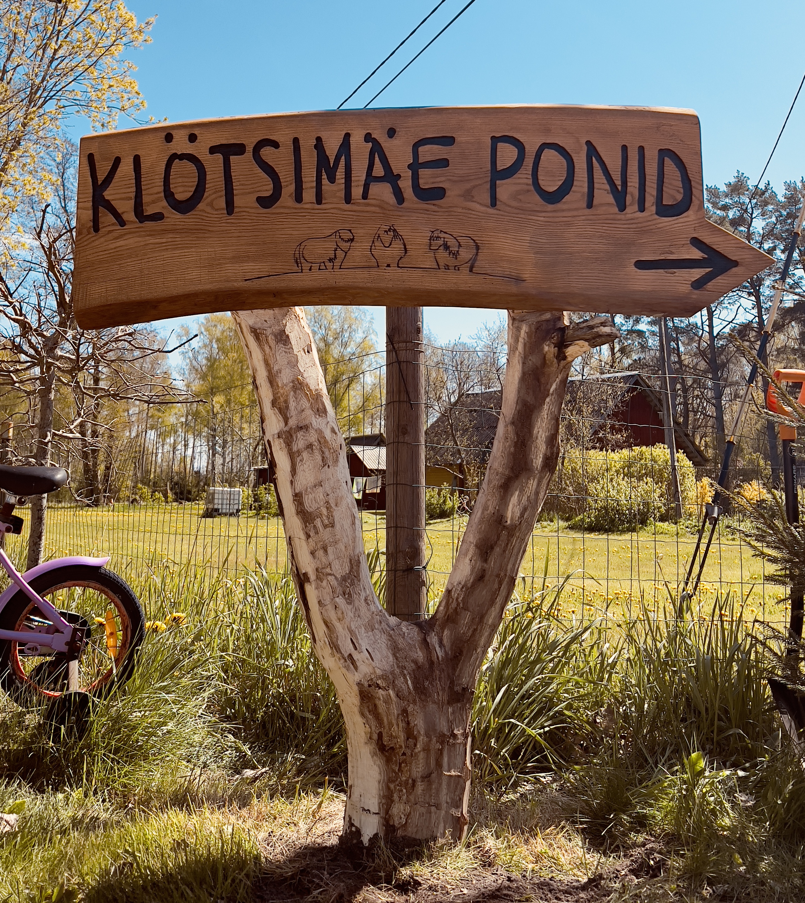Silt teeääres