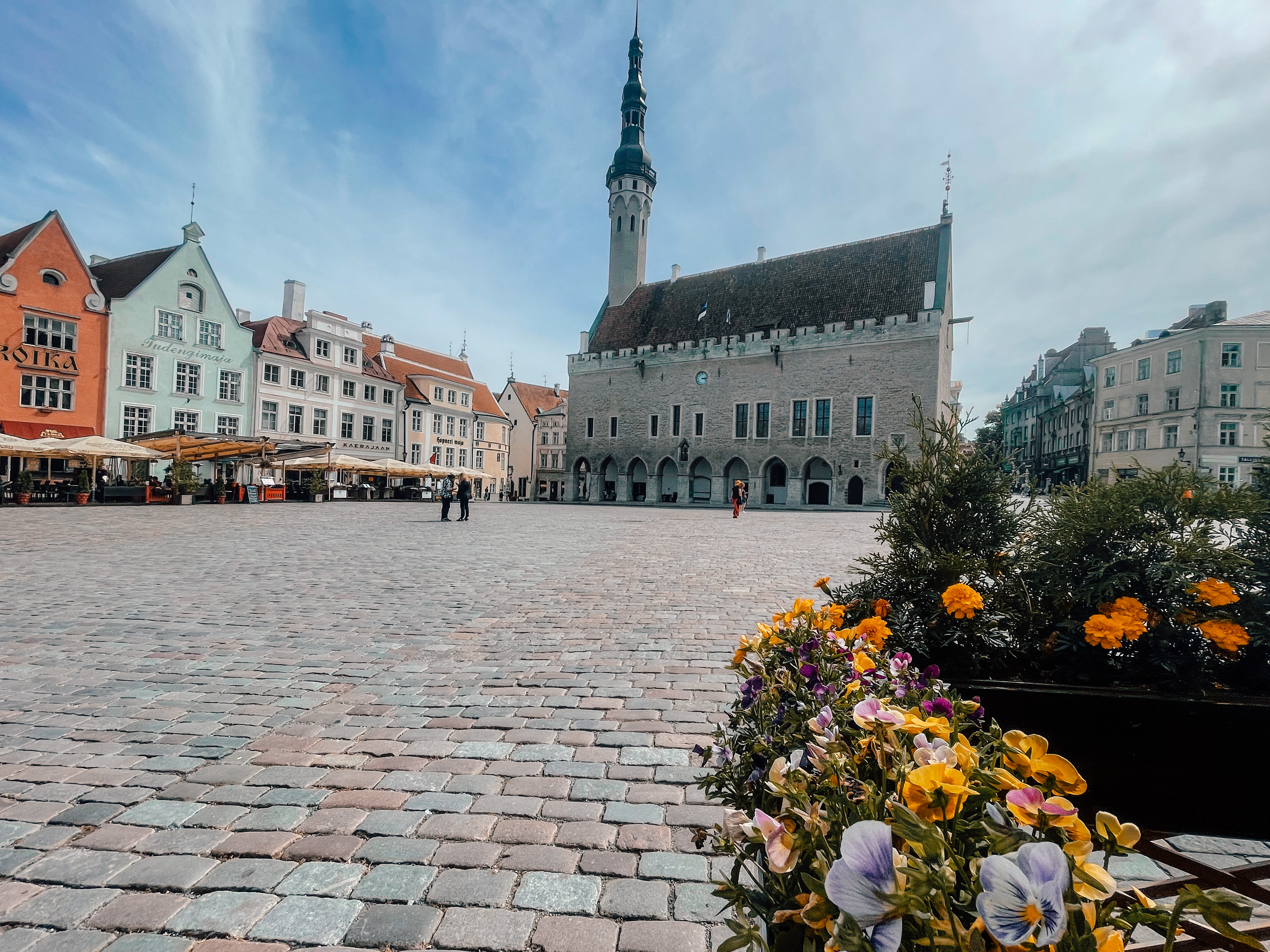 Suvised lilled Tallinna raekoja taustal vanalinnas