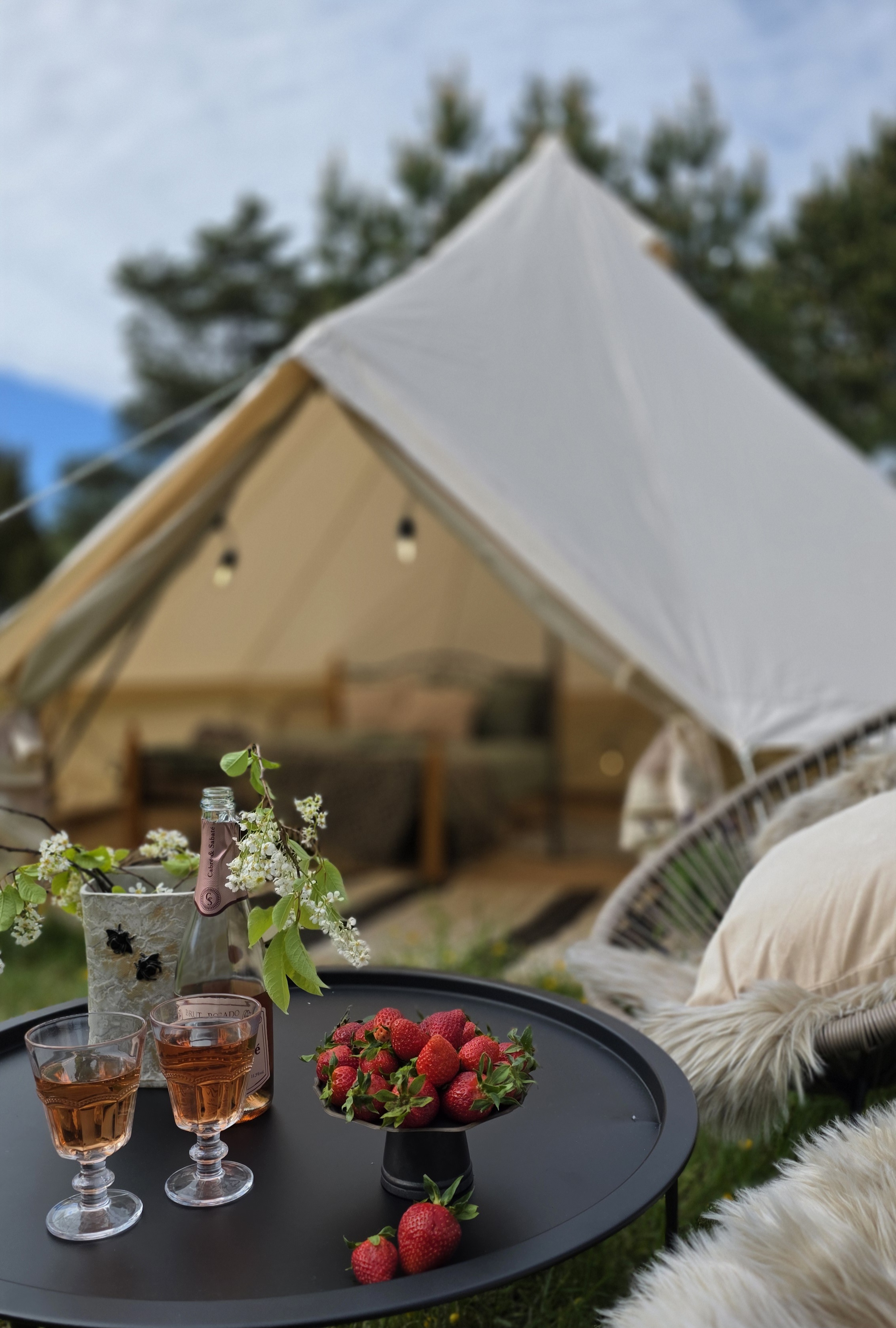 Tent No 2