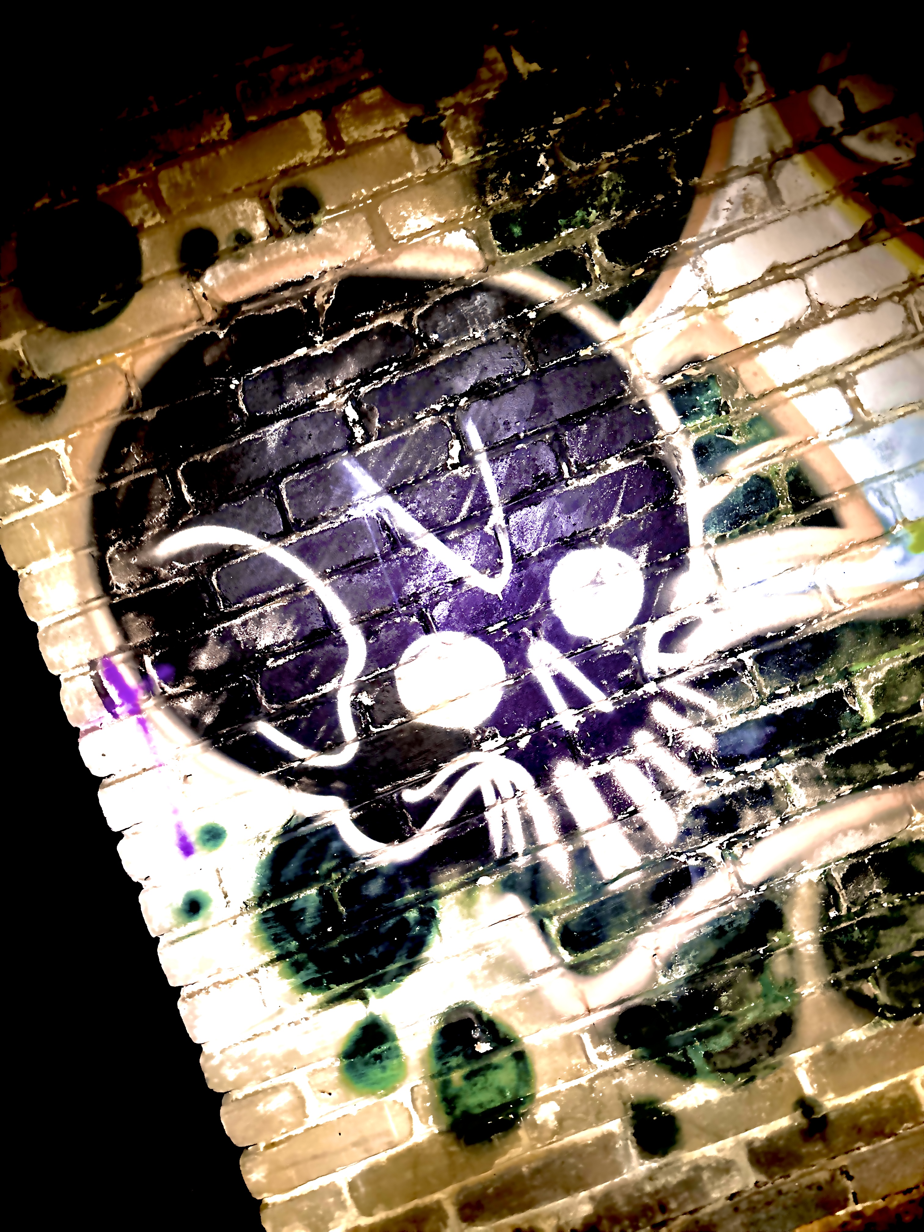 Skull