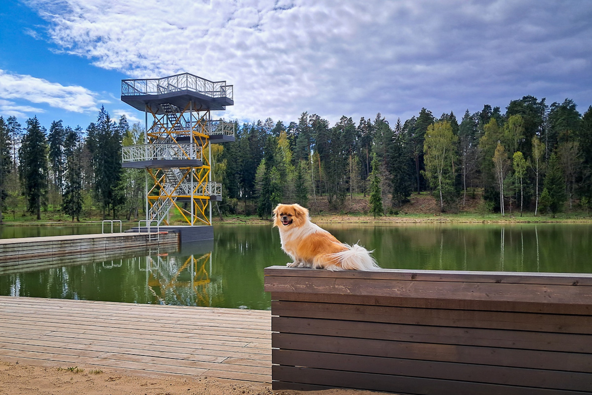Tõrva Lõvitorn