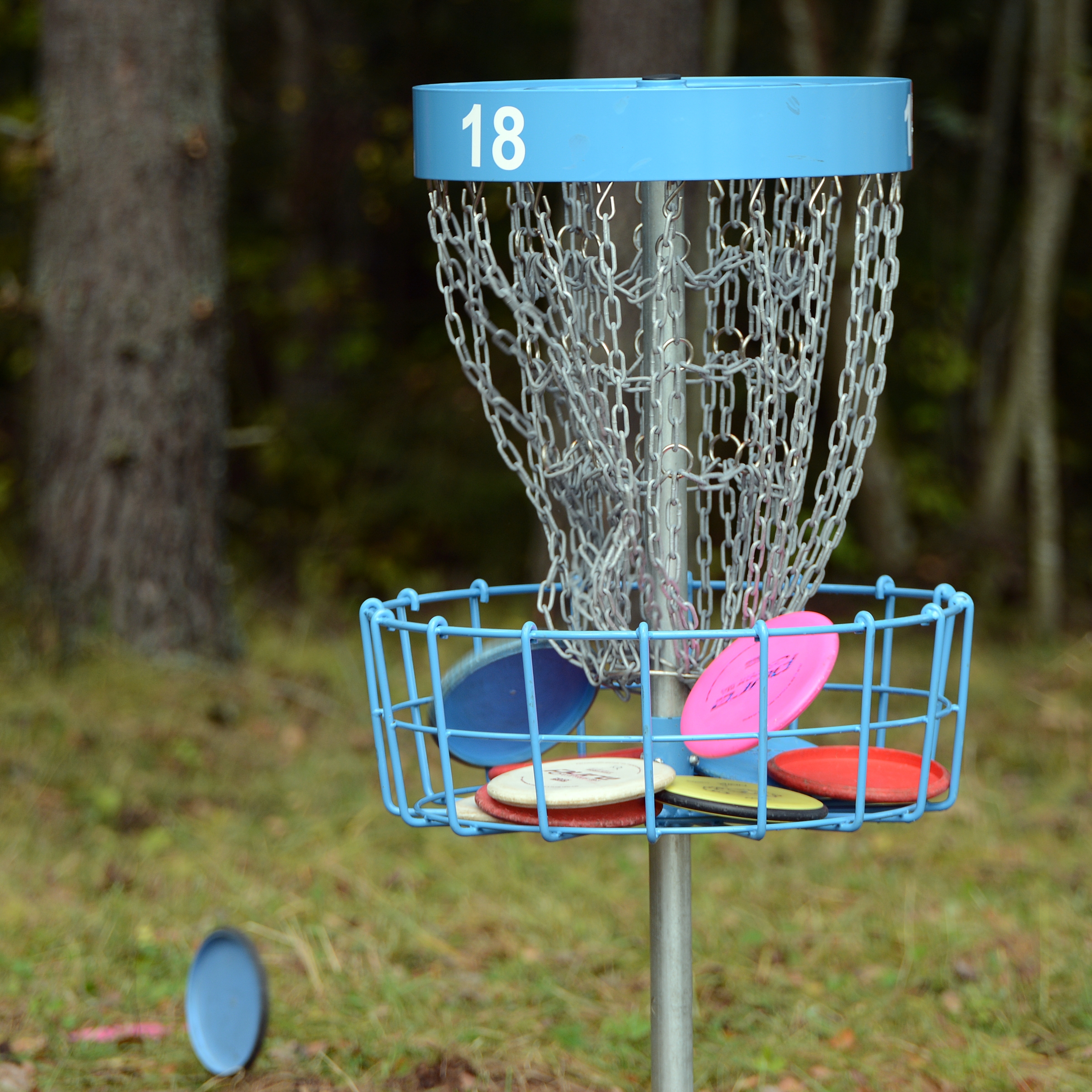 Sportland Elva Discgolfi Park