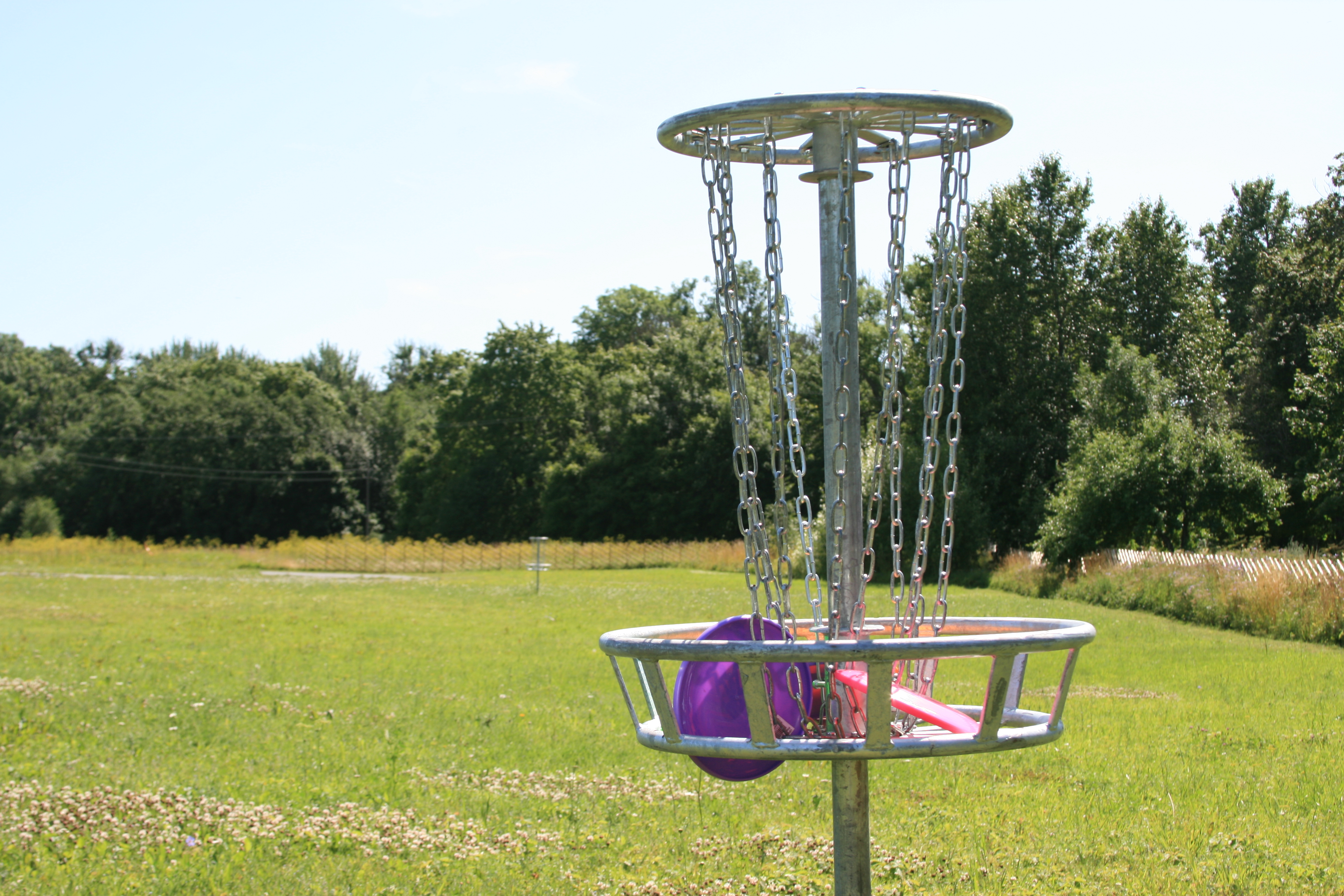 Disc Golf 1