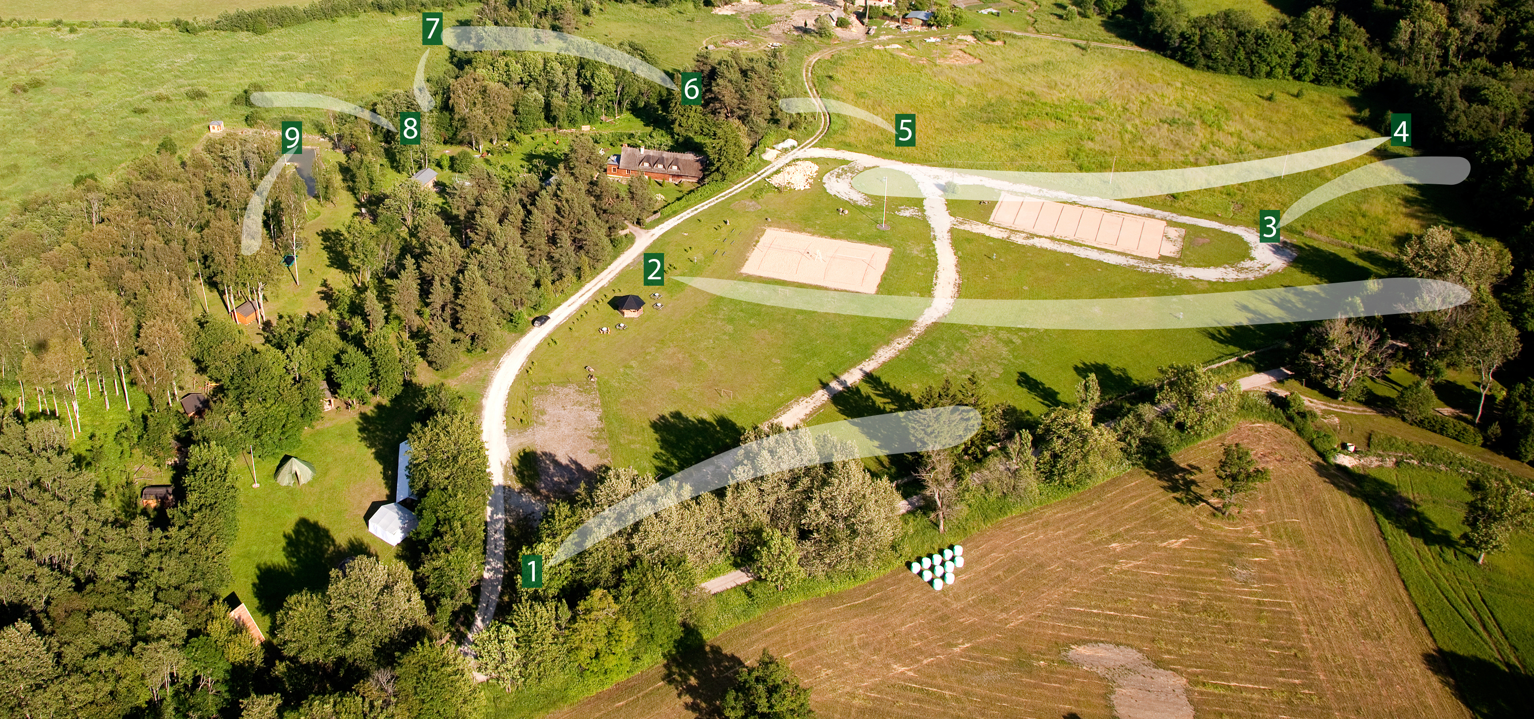 Disc Golf