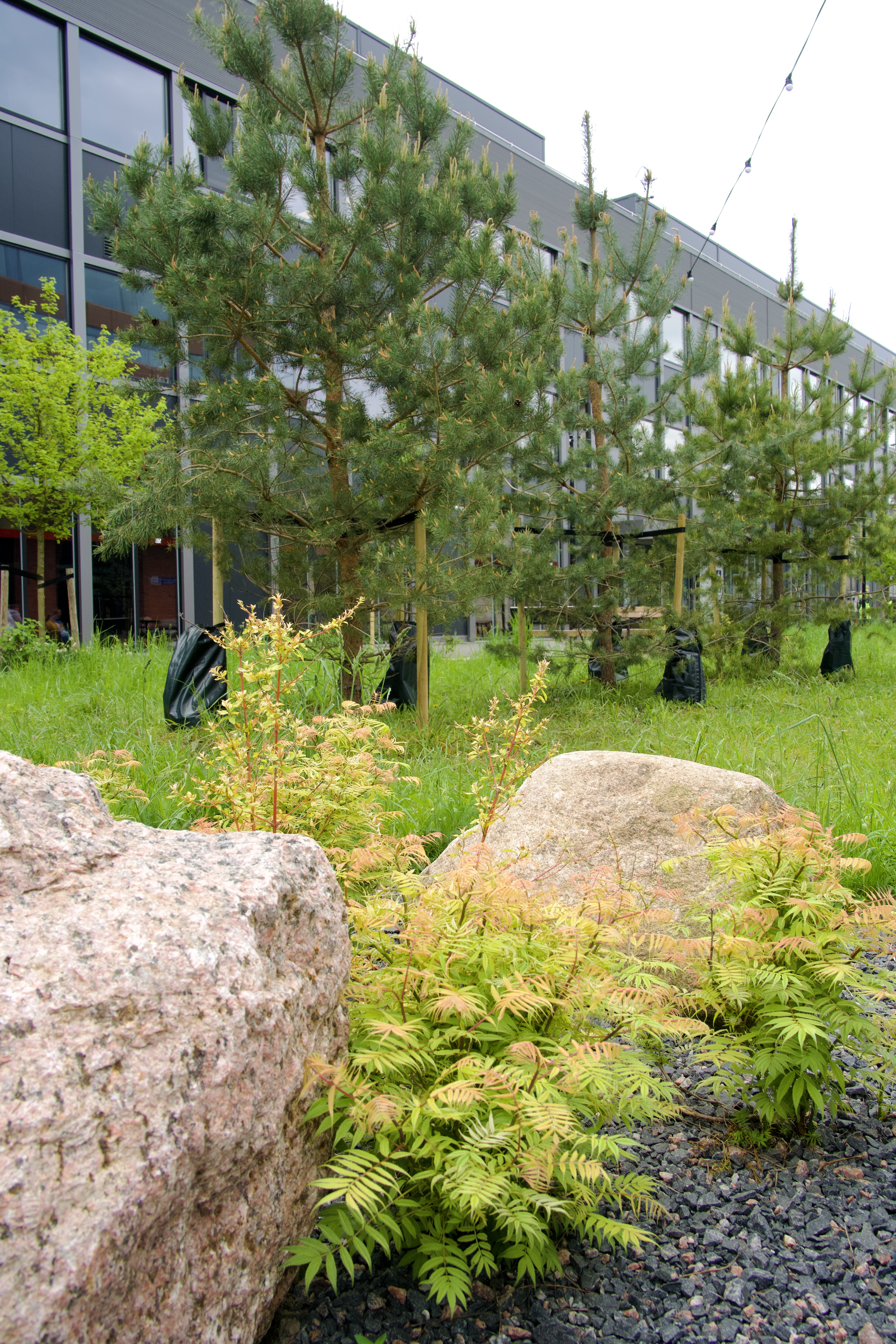 Telliskivi park, linnaloodus