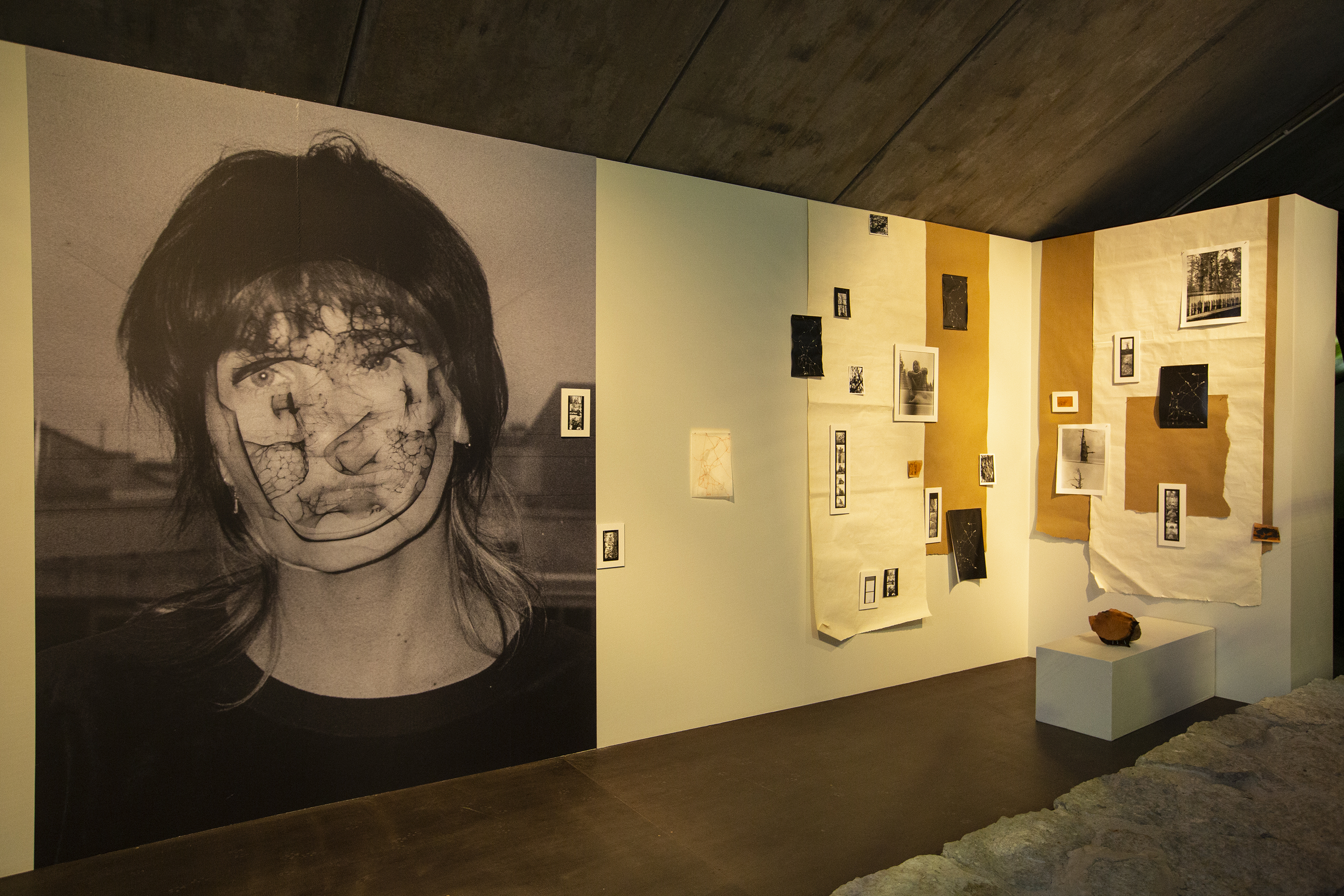 Alyona Movko-Mägi näitus "Soo" galeriis Seek