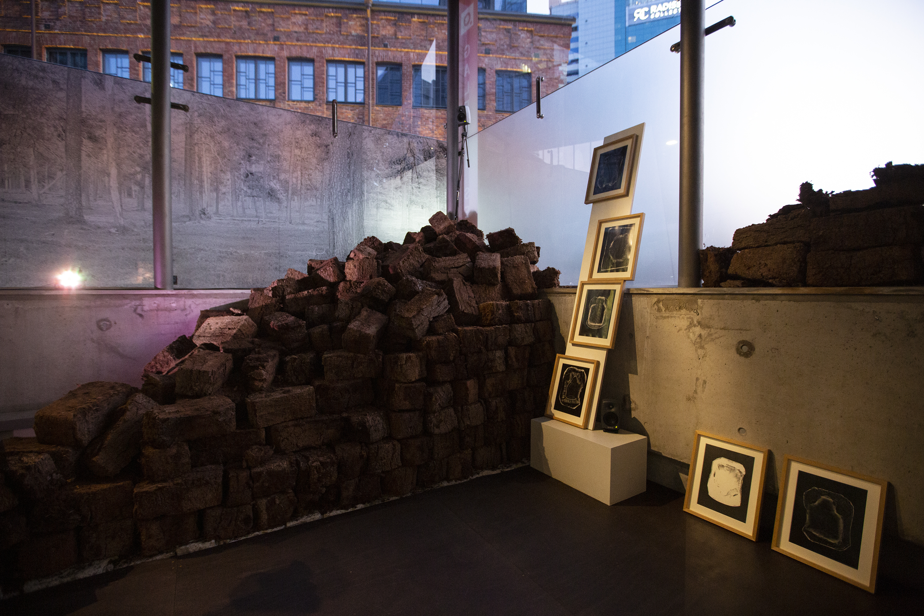 Alyona Movko-Mägi näitus "Soo" galeriis Seek