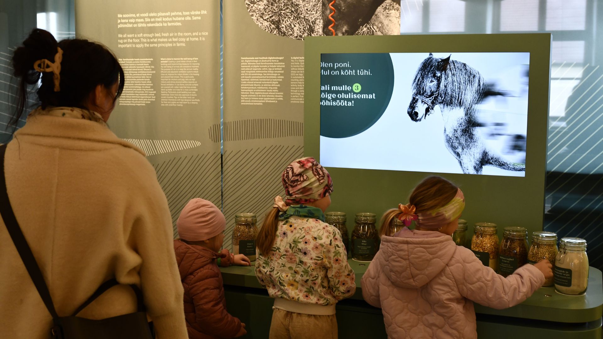 Ülenurme Rural Curiosity Center's feed lottery, exploring animal feed in cans