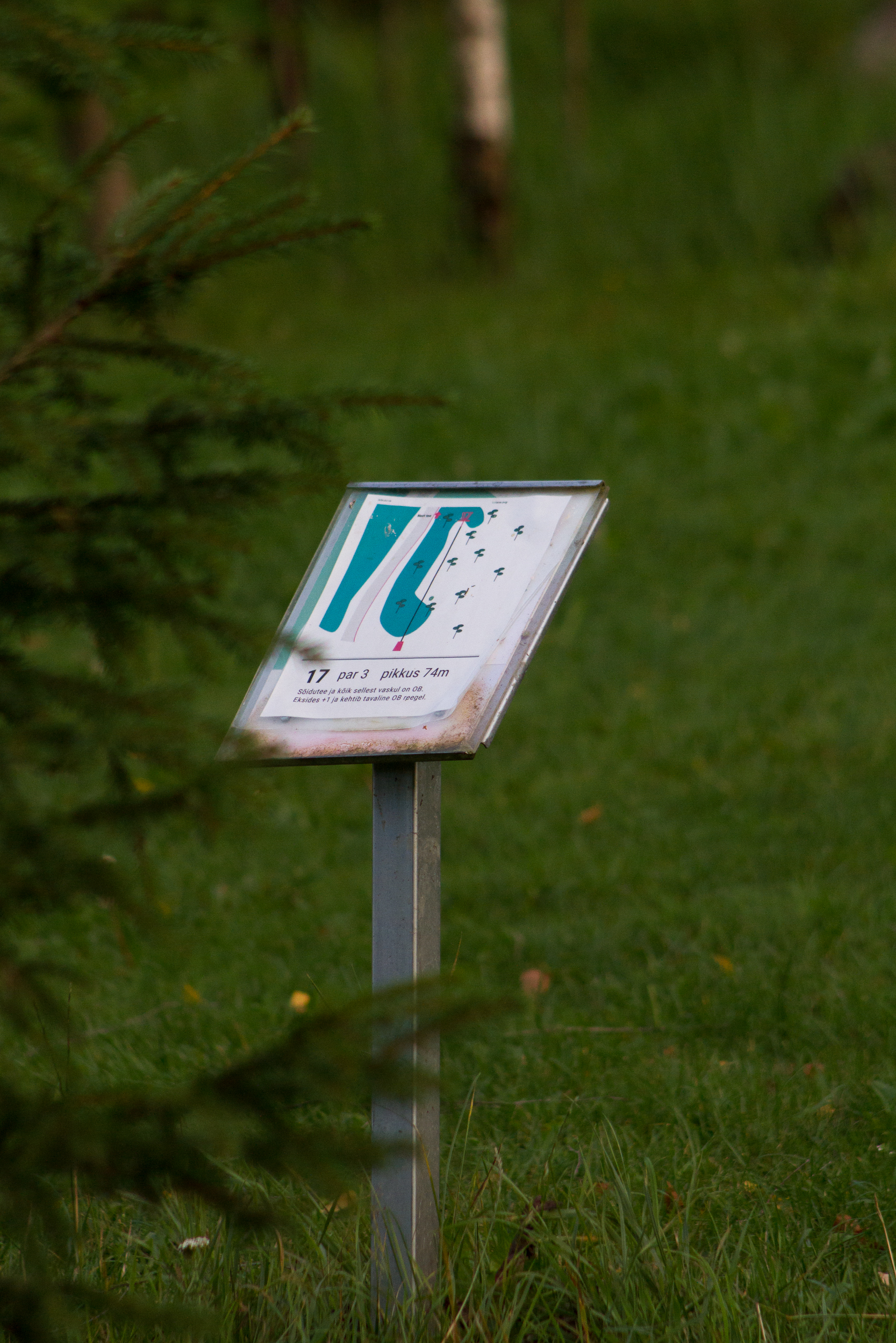 Järve Talu Aktiivpuhkekeskuse discgolfi infotahvel