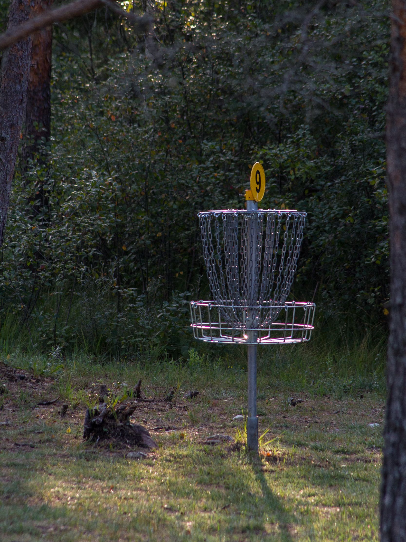 Järve Talu Aktiivpuhkekeskuse discgolfi korv
