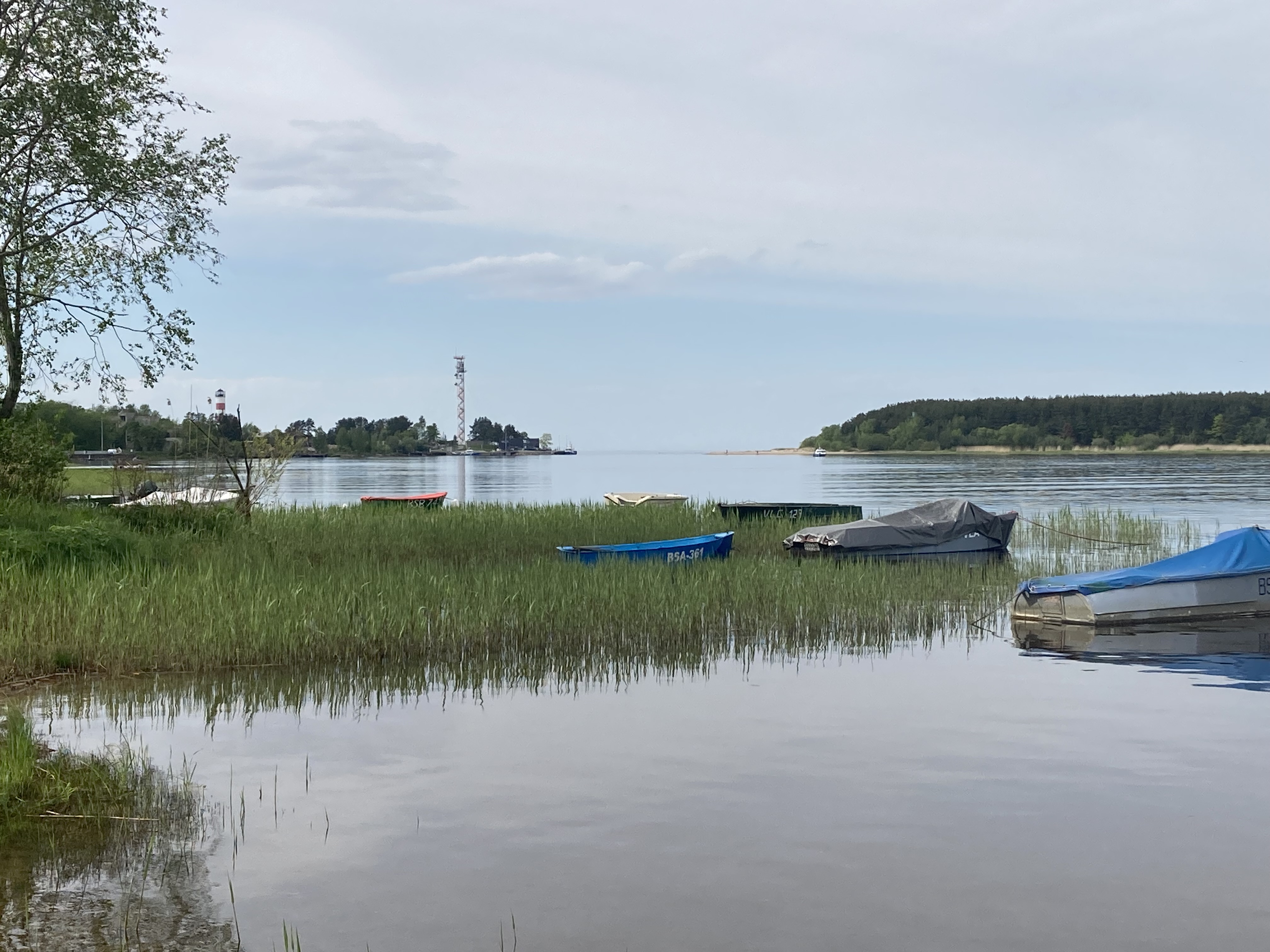 Narva-Jõesuu