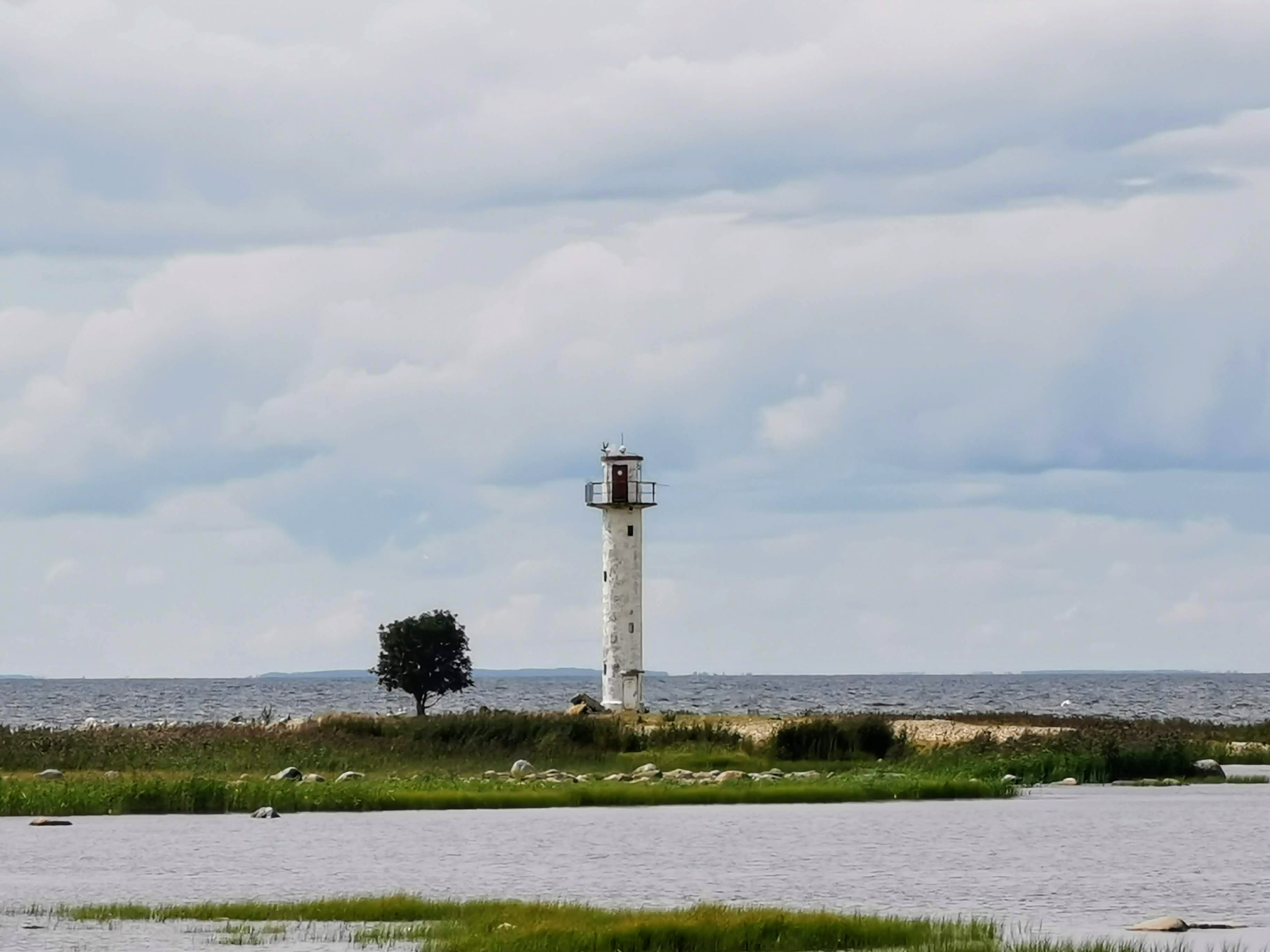 Pöörilaiu laiu külastus, linnuvaatlus Eestis