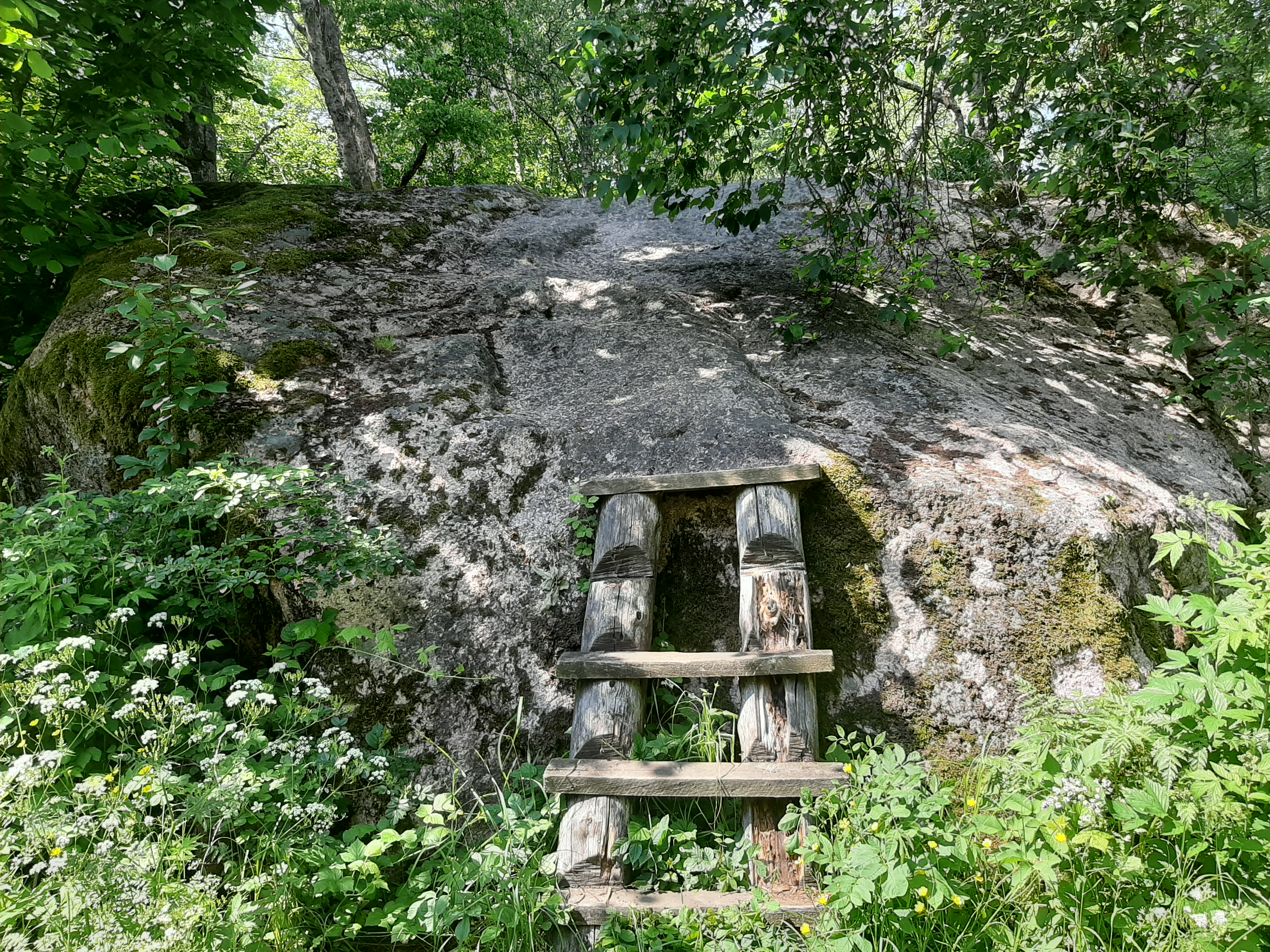 Kukka kivi